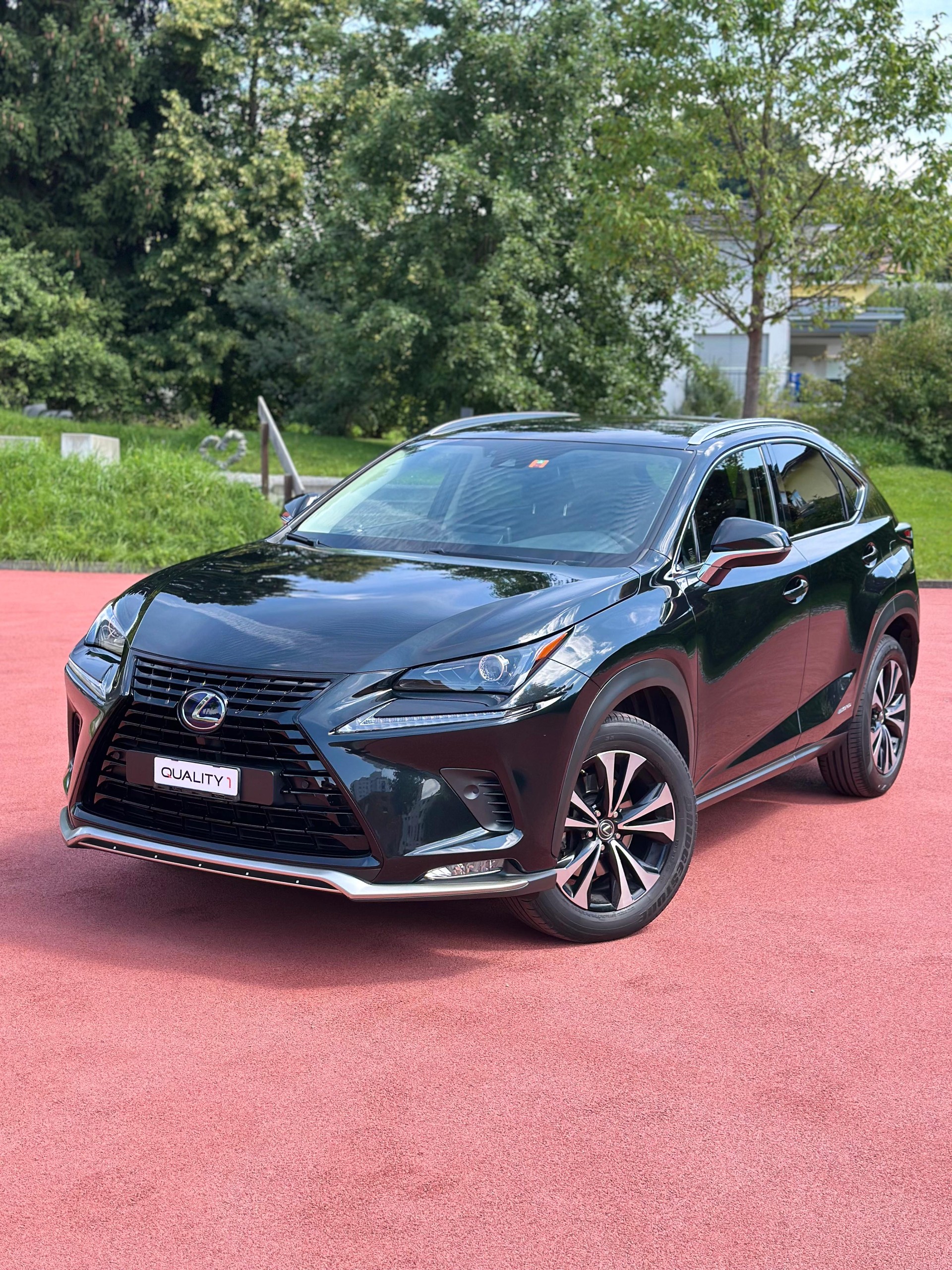 LEXUS NX 300h Celebrating 30 E-Four Automatic