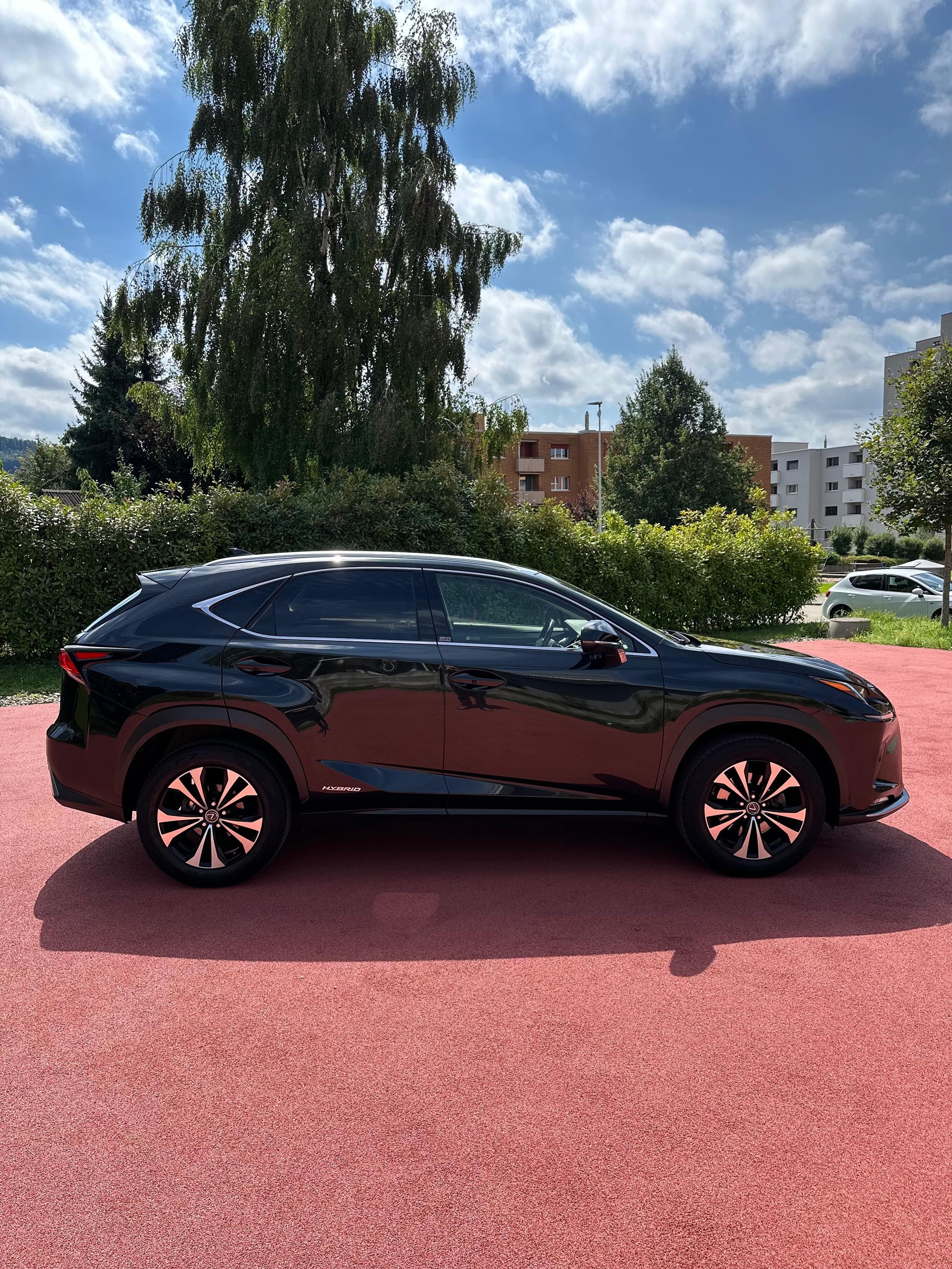 LEXUS NX 300h Celebrating 30 E-Four Automatic-image-3