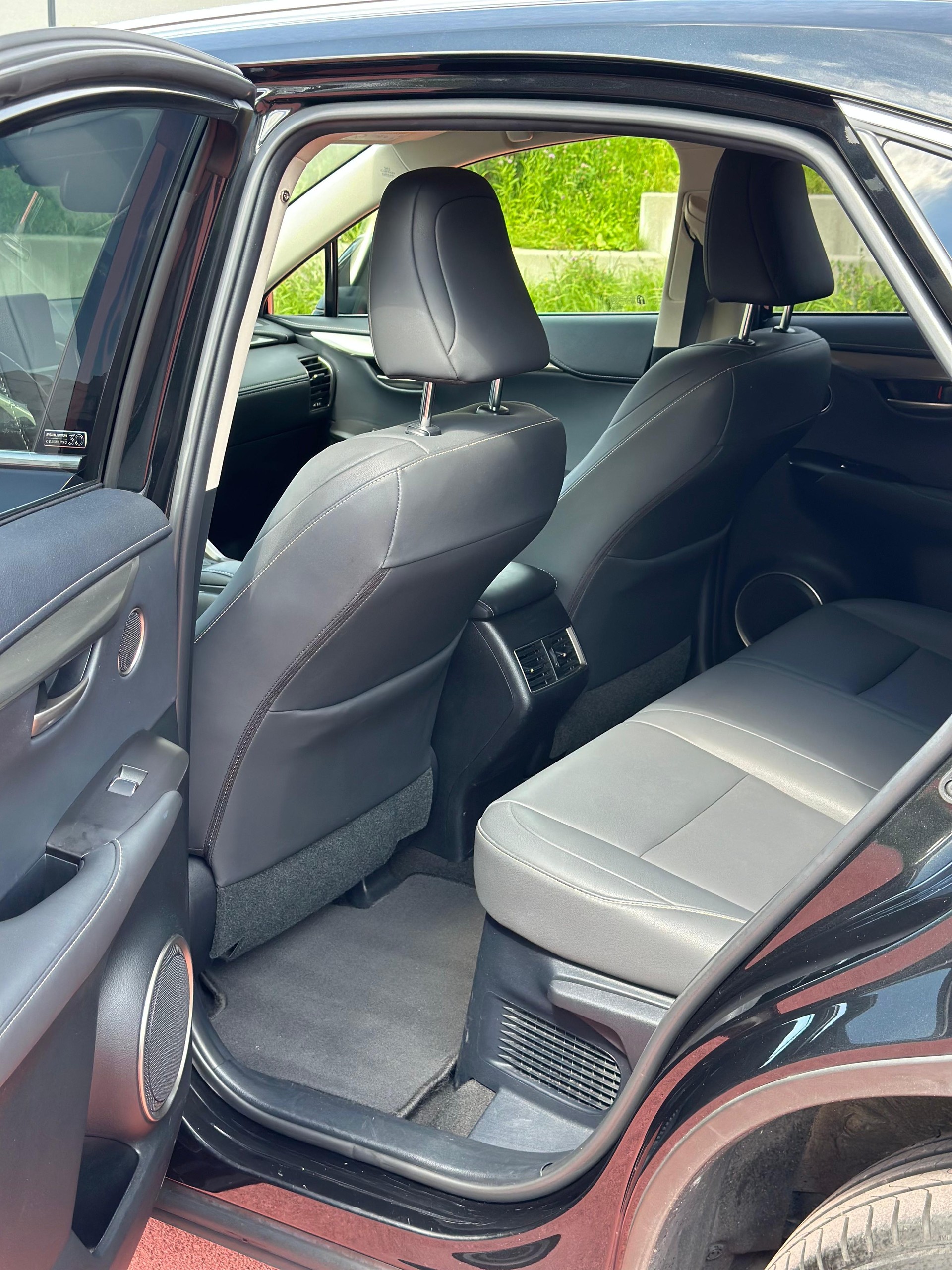 LEXUS NX 300h Celebrating 30 E-Four Automatic-image-9