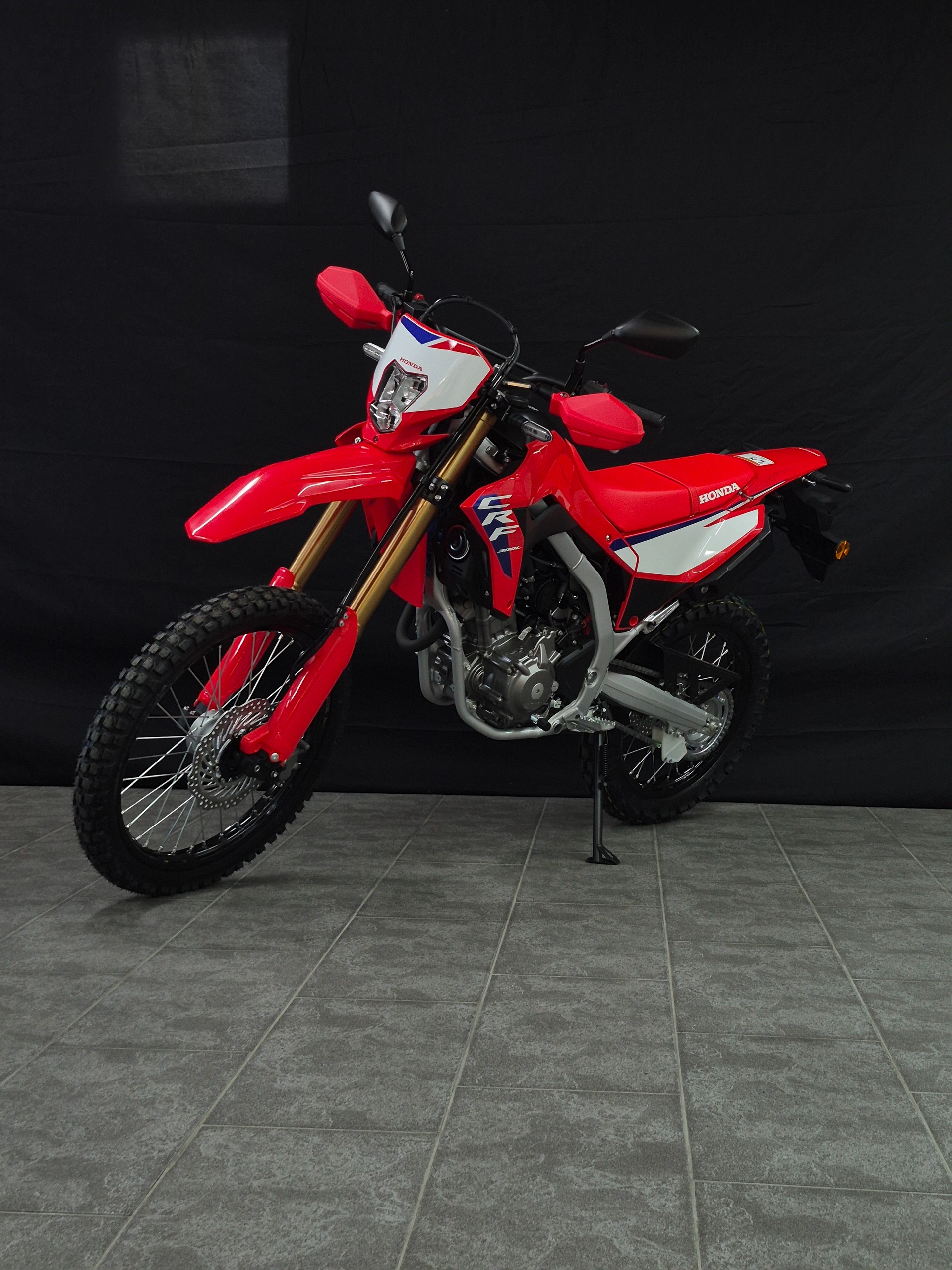 HONDA CRF 300 L-image-8