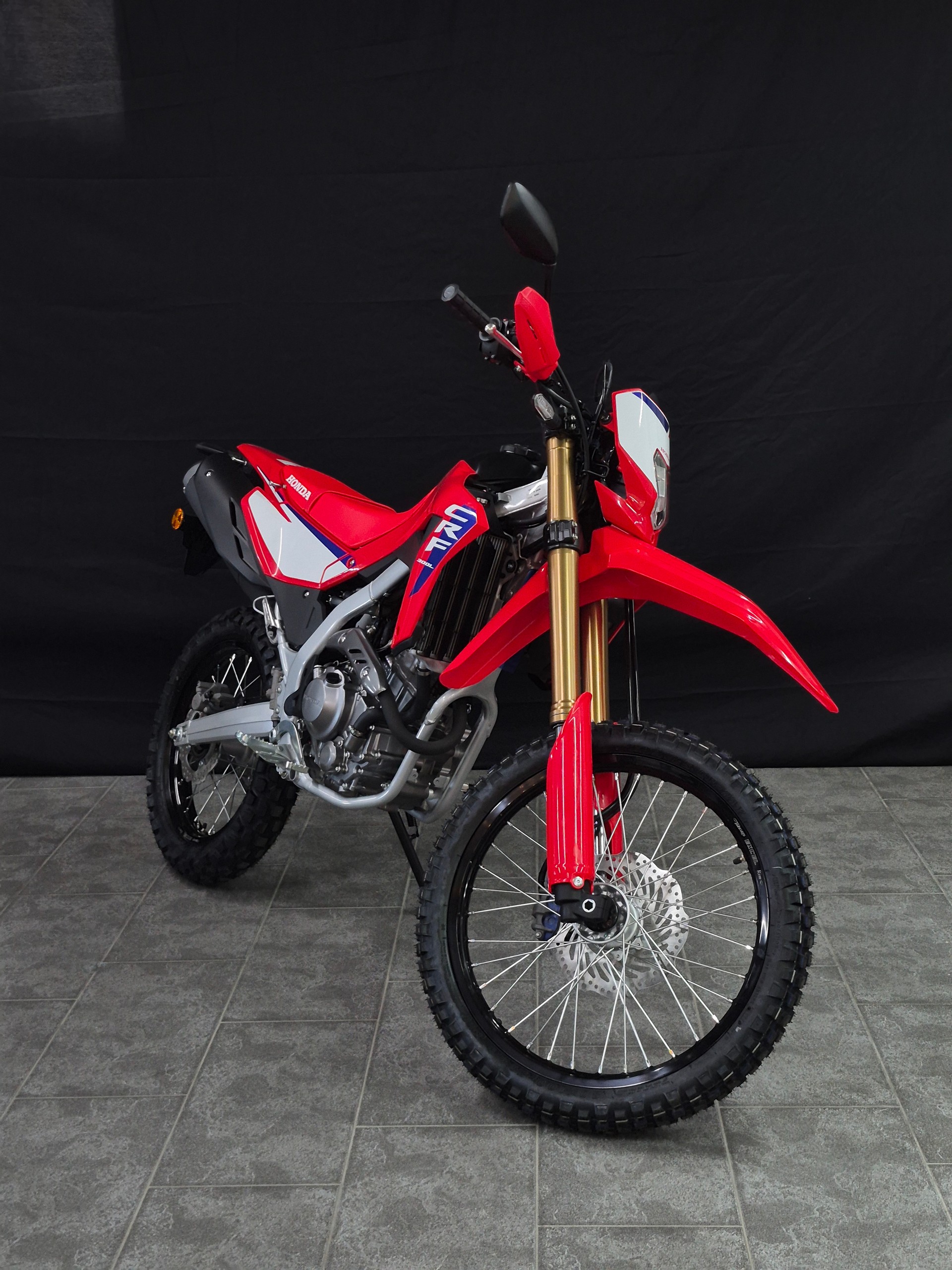 HONDA CRF 300 L-image-11