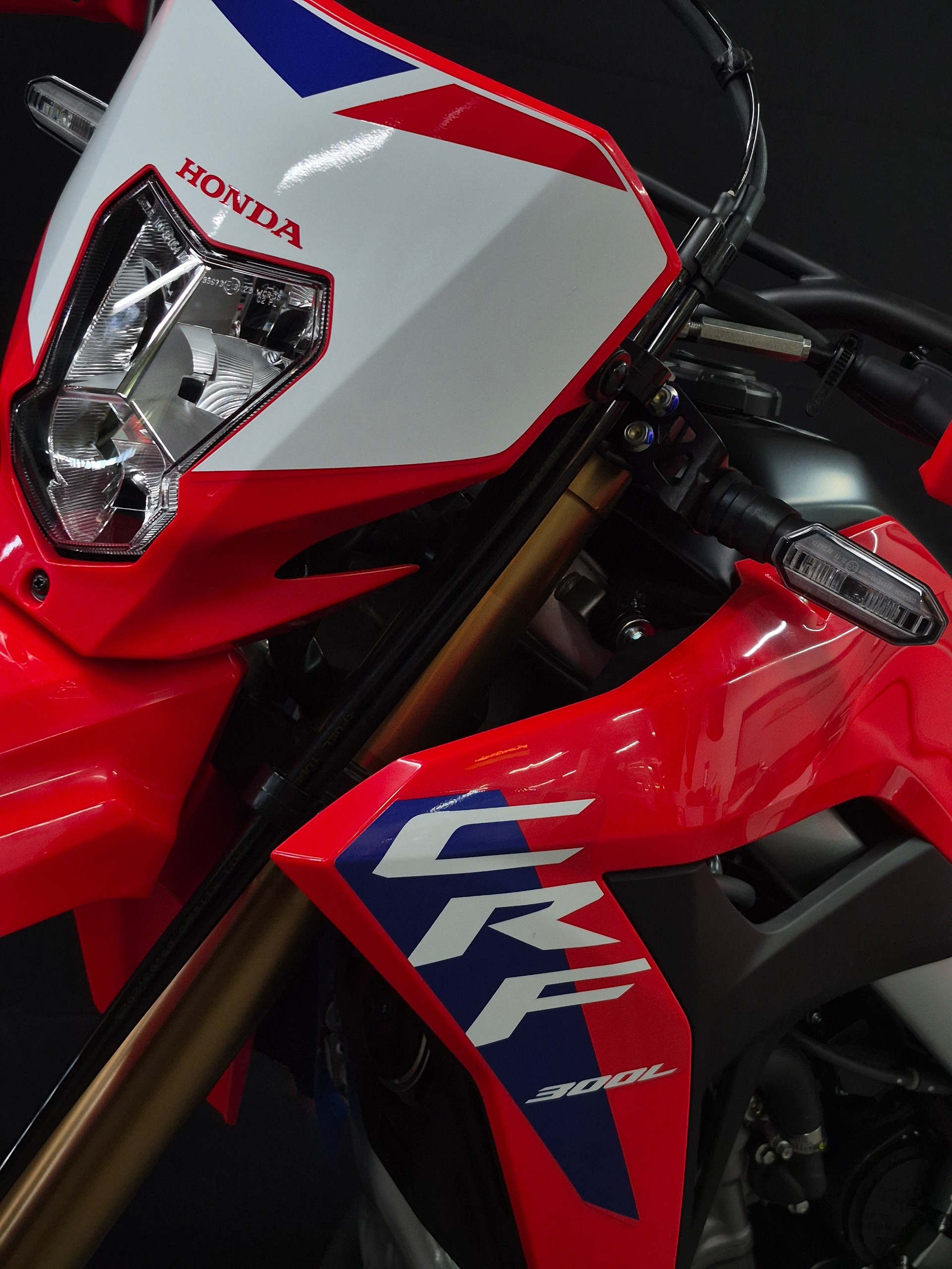 HONDA CRF 300 L-image-5