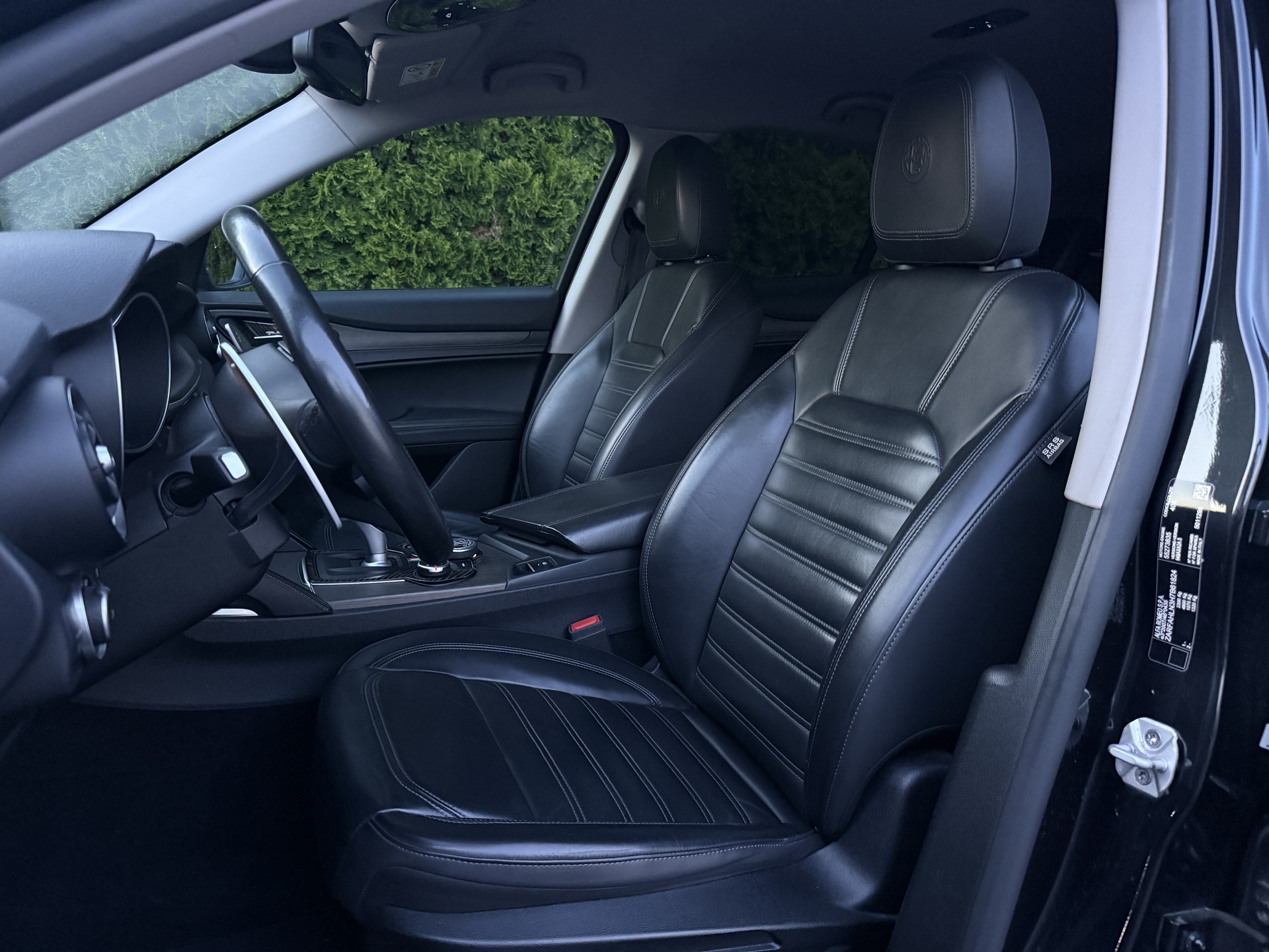 ALFA ROMEO Stelvio 2.0 First Edition Q4 Automatic / Anhängerkupplung-image-16