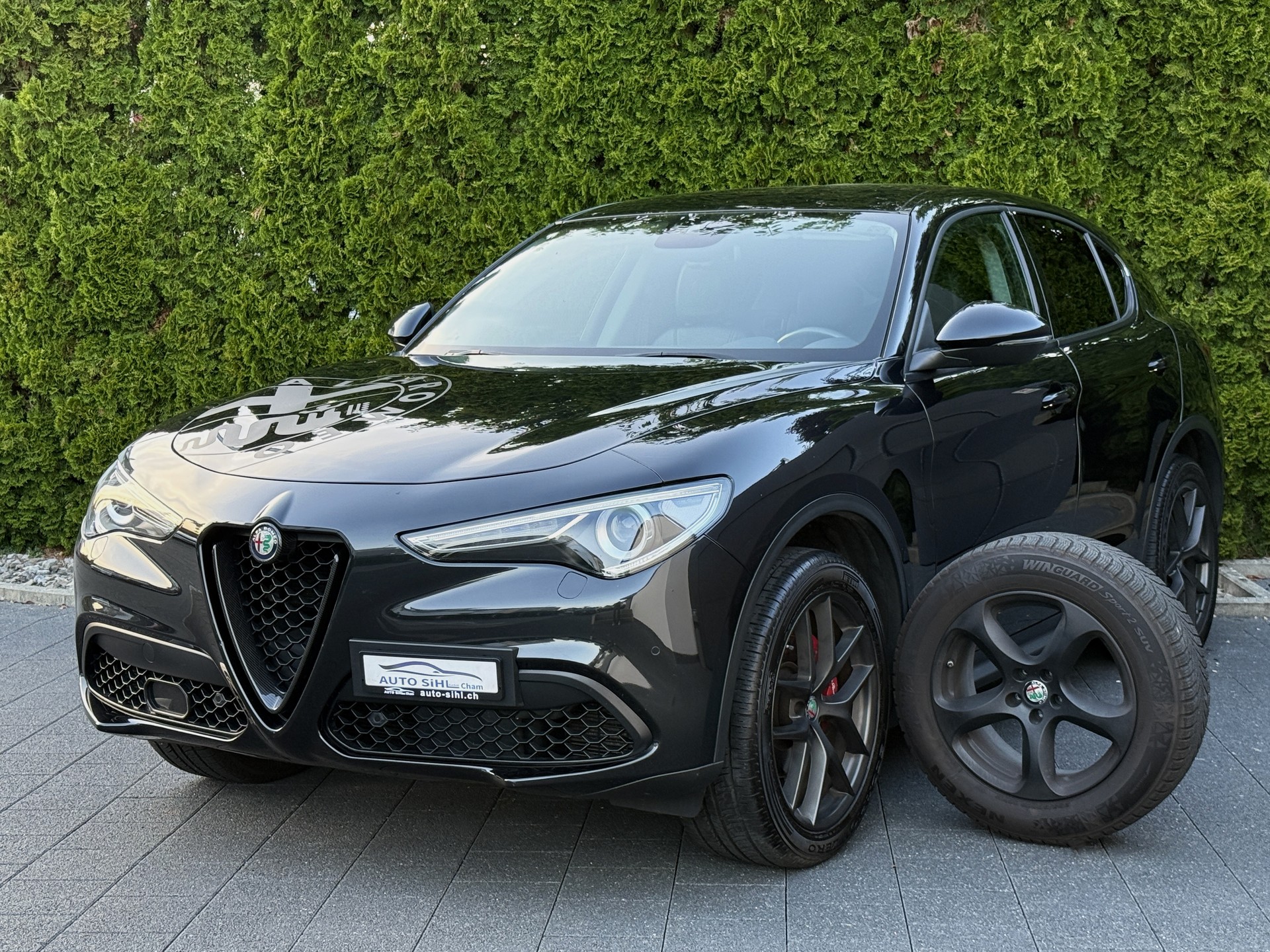 ALFA ROMEO Stelvio 2.0 First Edition Q4 Automatic / Anhängerkupplung-showroom-element-3