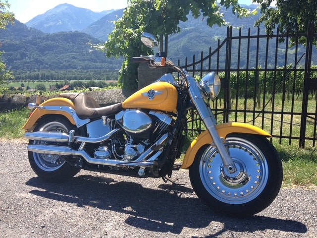 HARLEY-DAVIDSON GFABBO-image-0