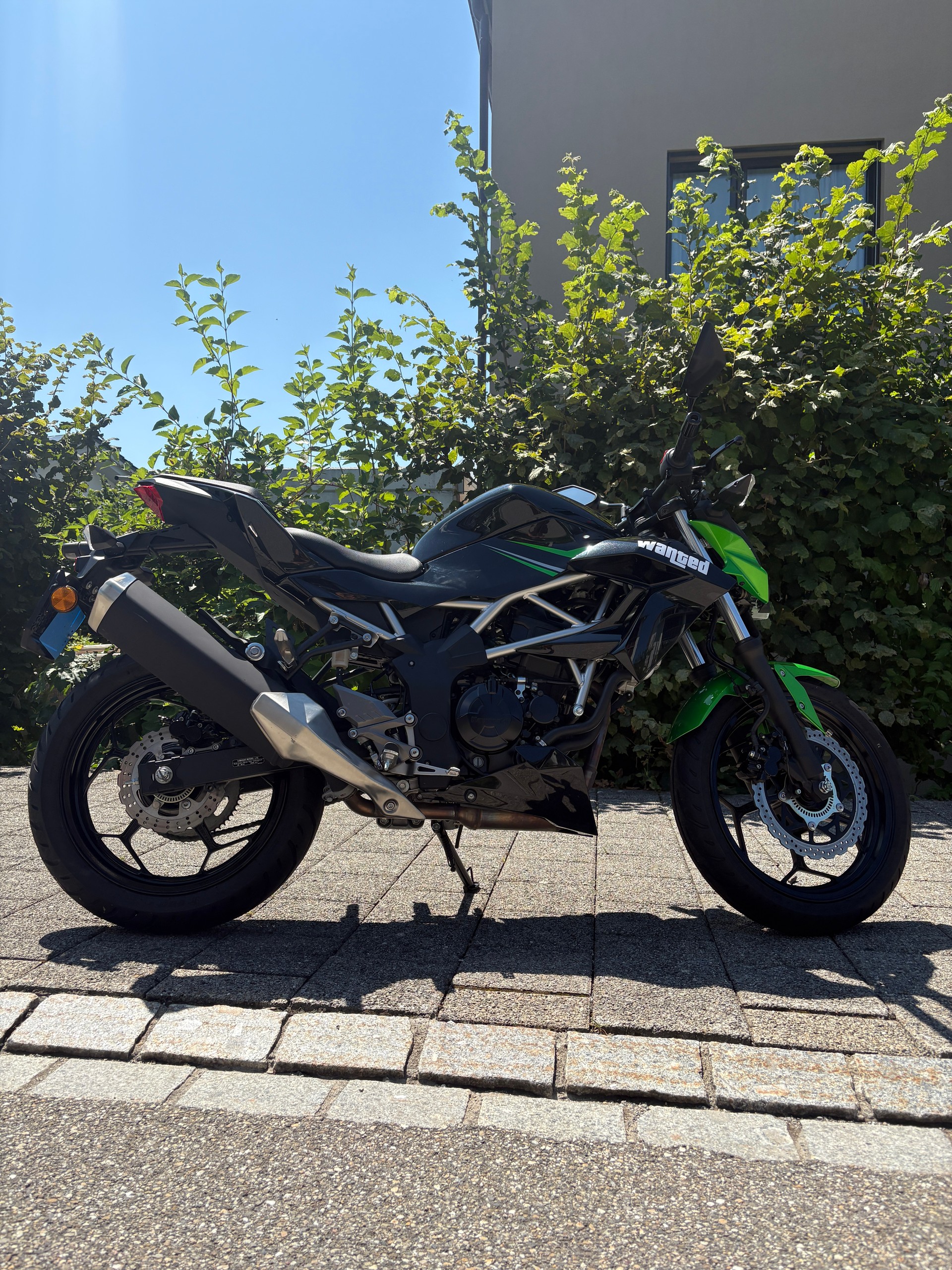 KAWASAKI Z 125-image-7
