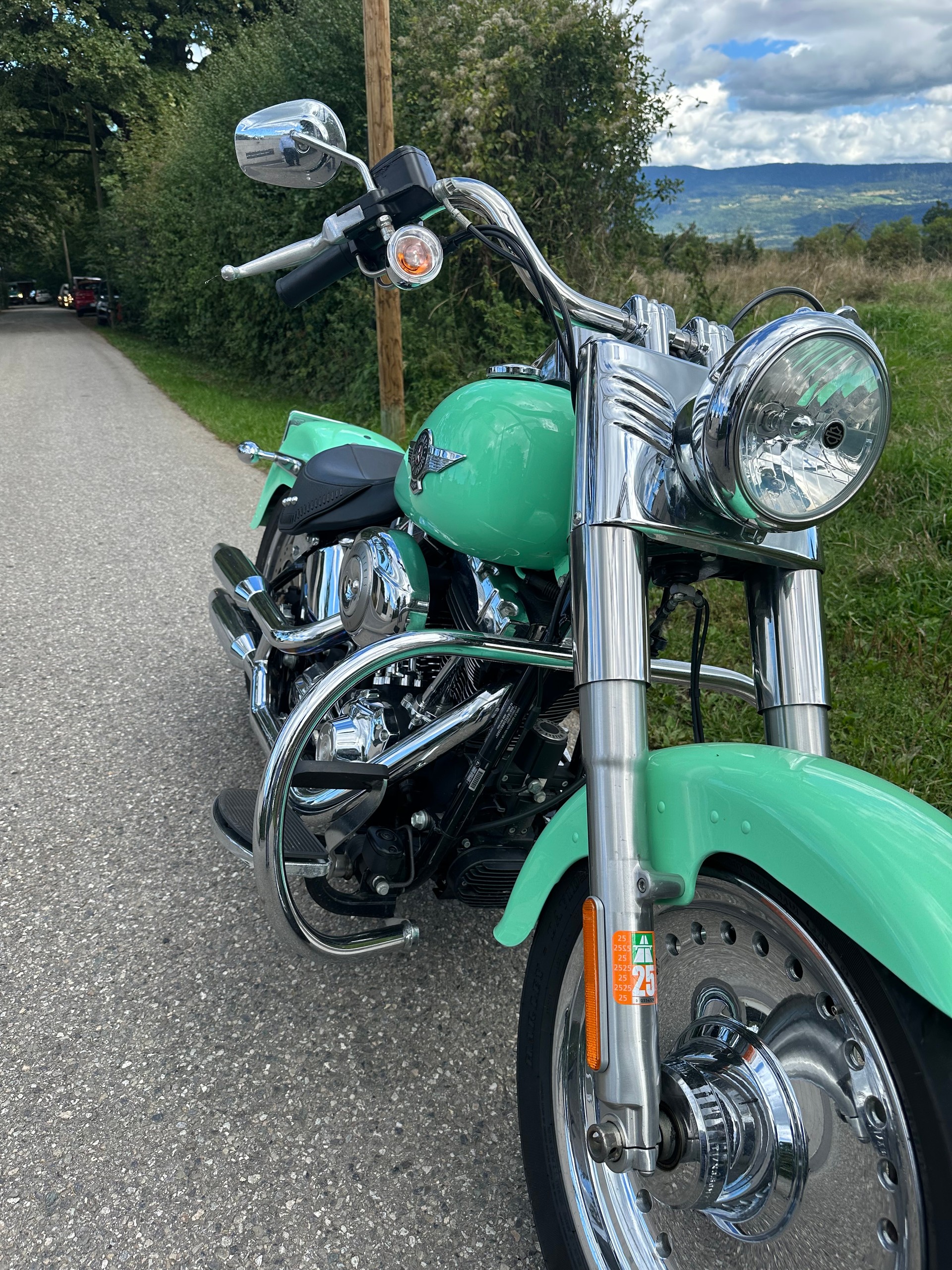 HARLEY-DAVIDSON 5HD 1BX 5C5 BB0 138 05-image-7