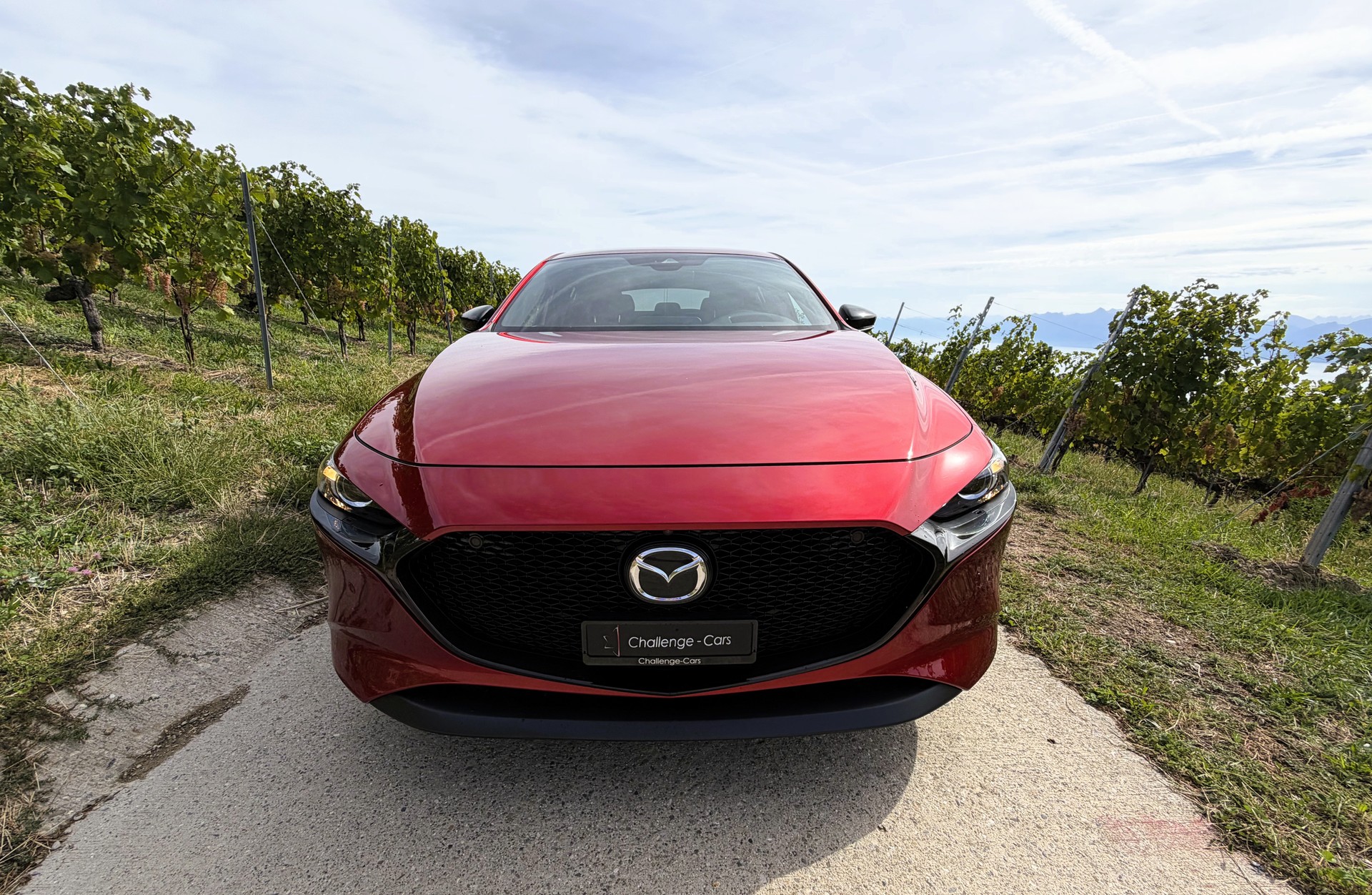 MAZDA 3 Hatchback SKYACTIV-X M Hybrid 186 Homura Automat-showroom-element-3