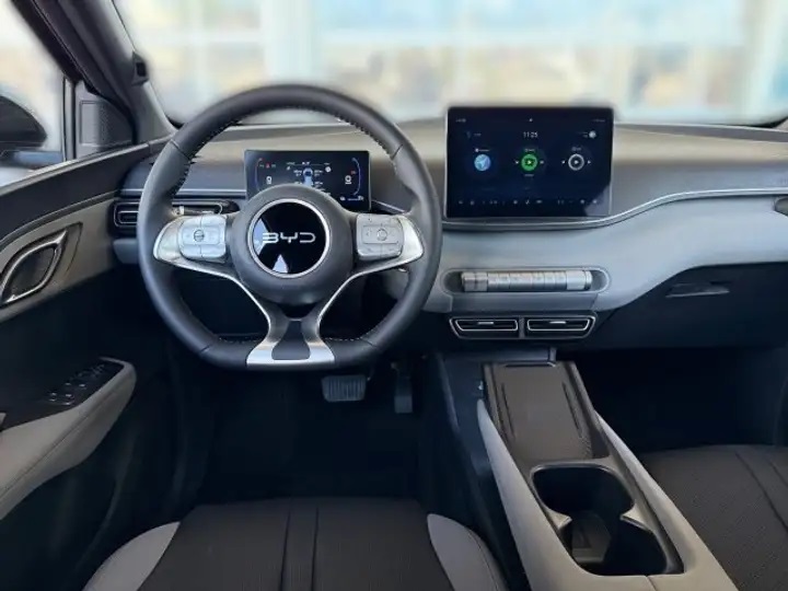 BYD Dolphin Surf "Boost" (65 kW/88 PS)-image-23