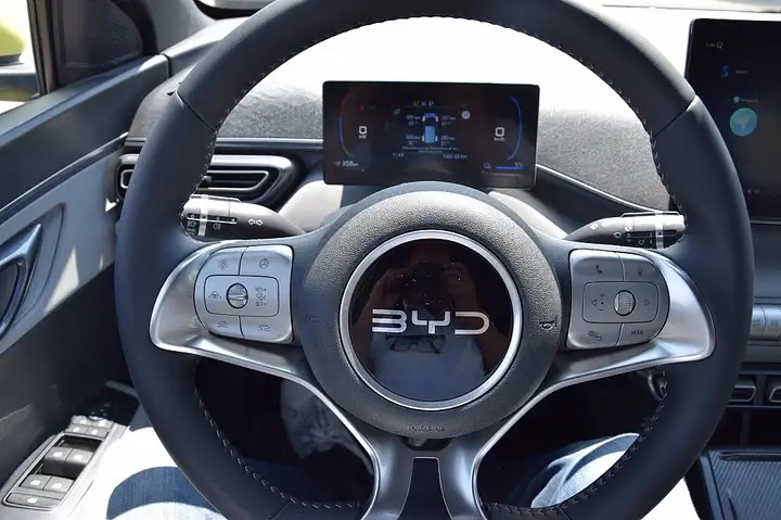 BYD Dolphin Surf "Comfort" (115 kW/156 PS)-image-8