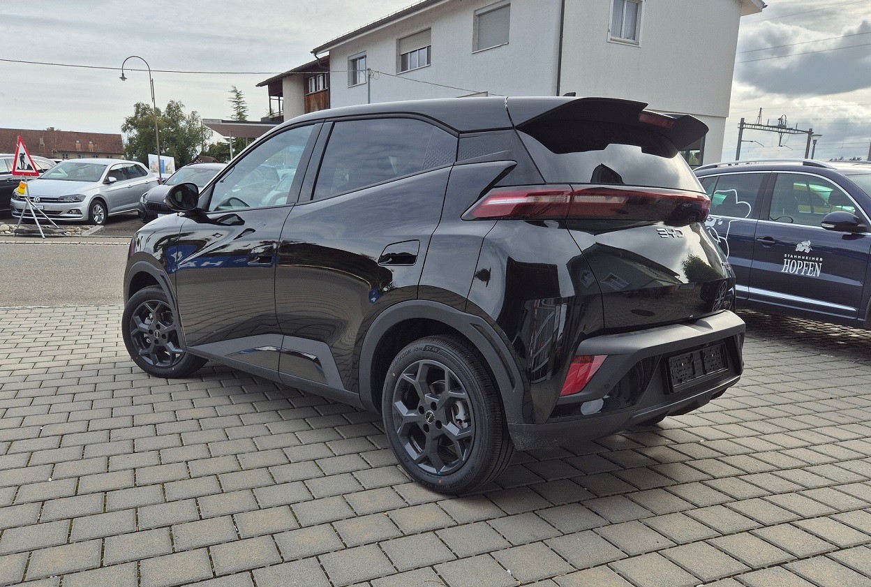 BYD Dolphin Surf "Boost" (65 kW/88 PS)