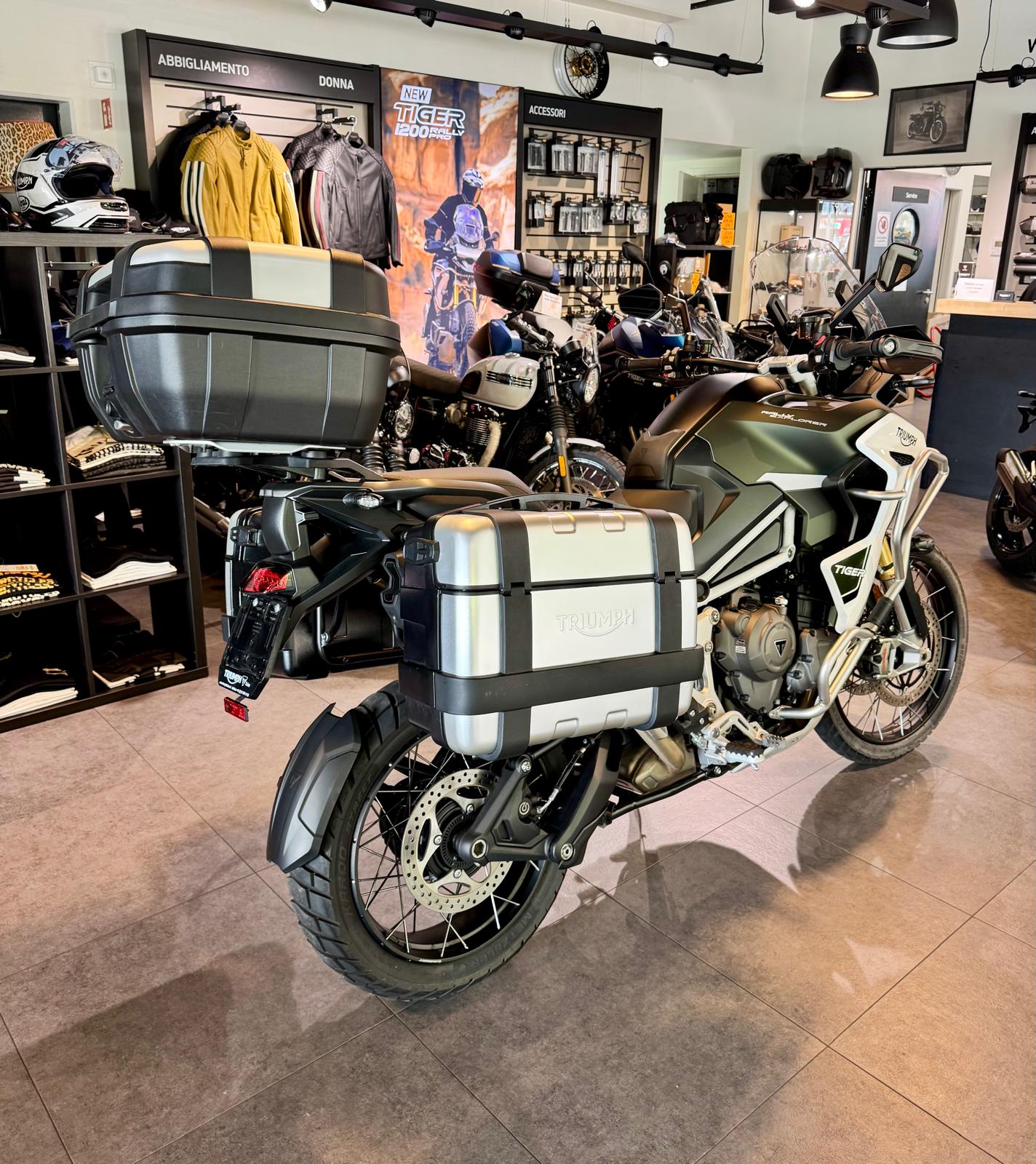 TRIUMPH 1200 Rally Explorer-image-4