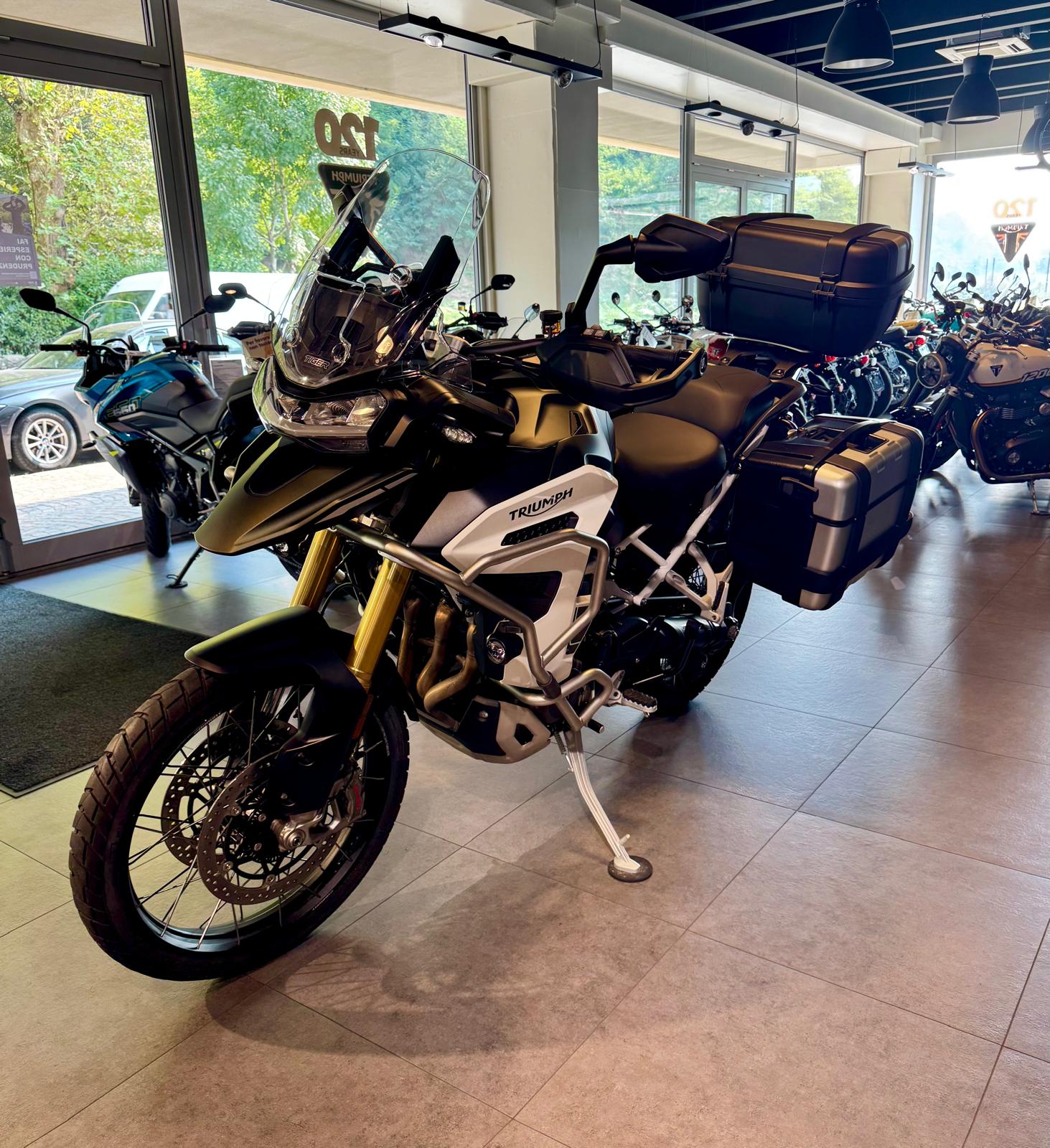 TRIUMPH 1200 Rally Explorer-image-1