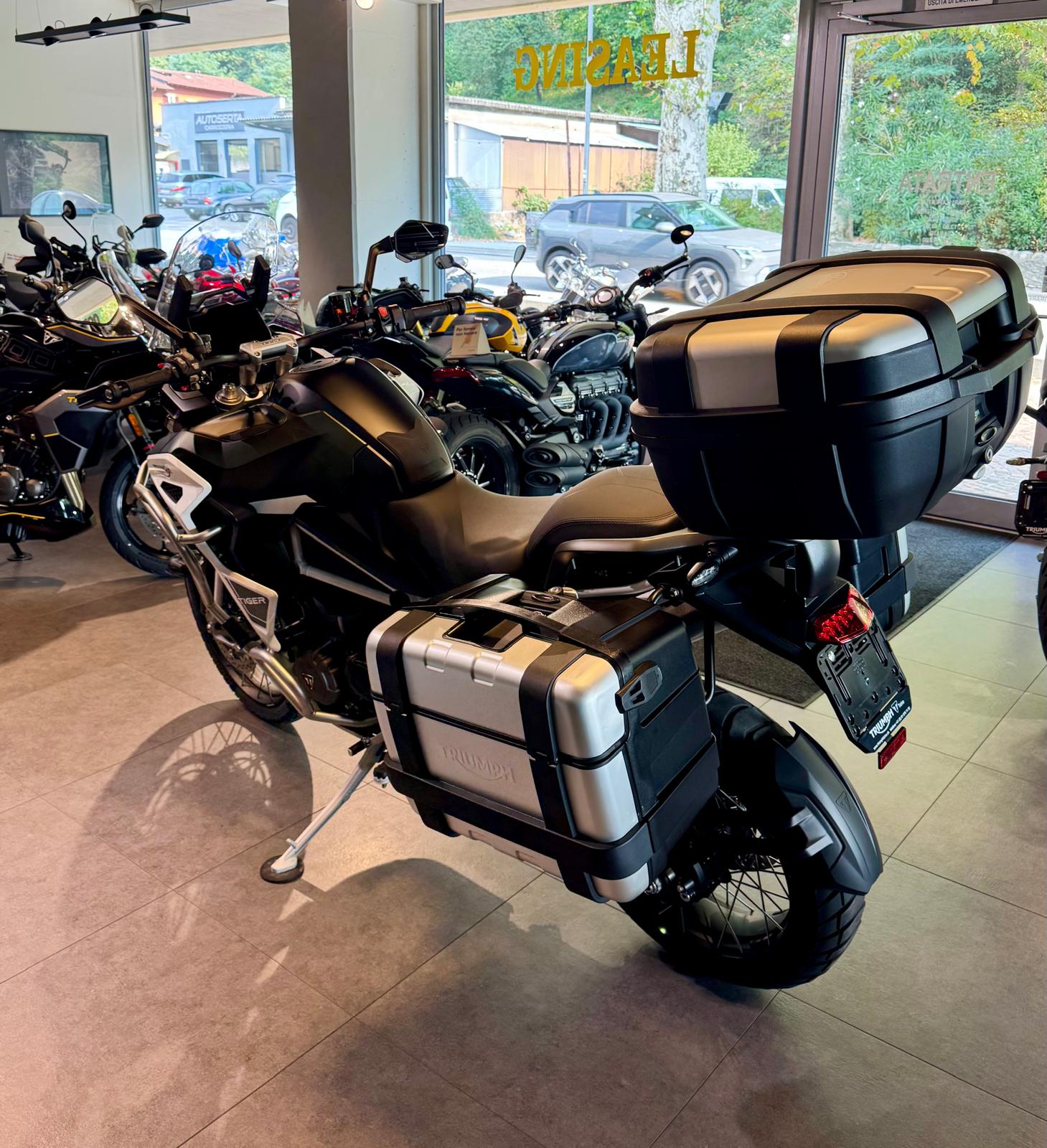TRIUMPH 1200 Rally Explorer-image-2