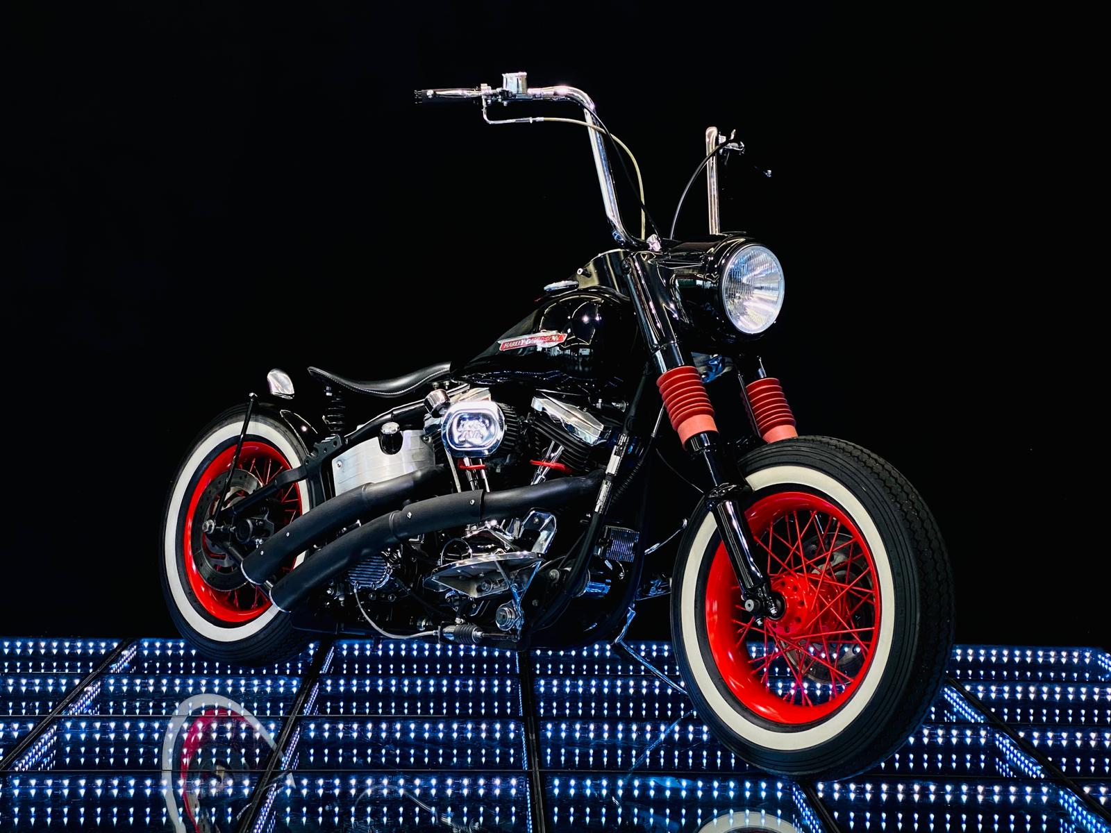HARLEY-DAVIDSON FXST Softail 5-speed-image-0