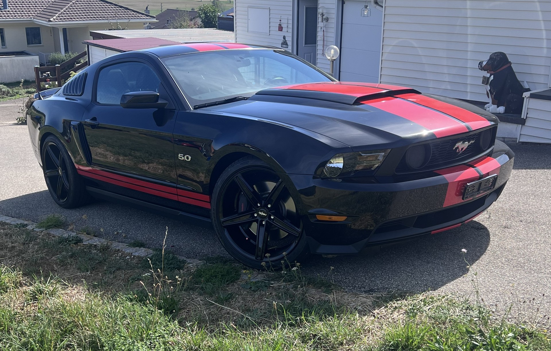 FORD 5.0 V8 GT Premium