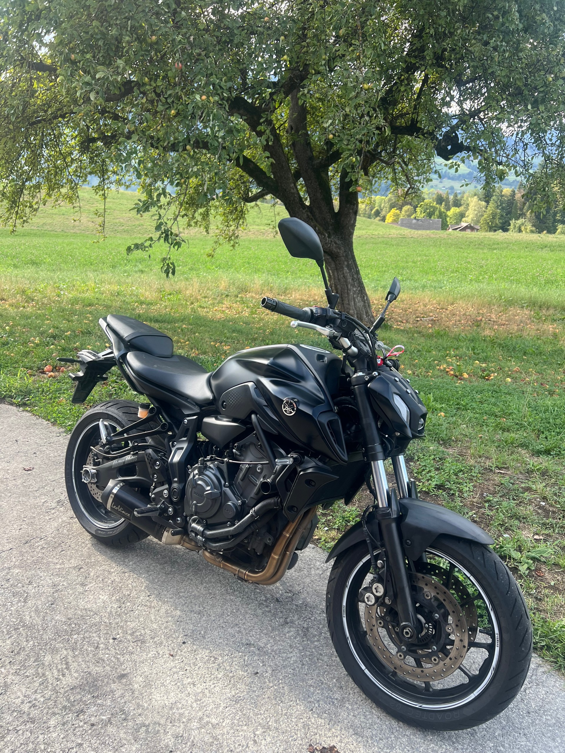 YAMAHA MT-07 (35KW)-image-2
