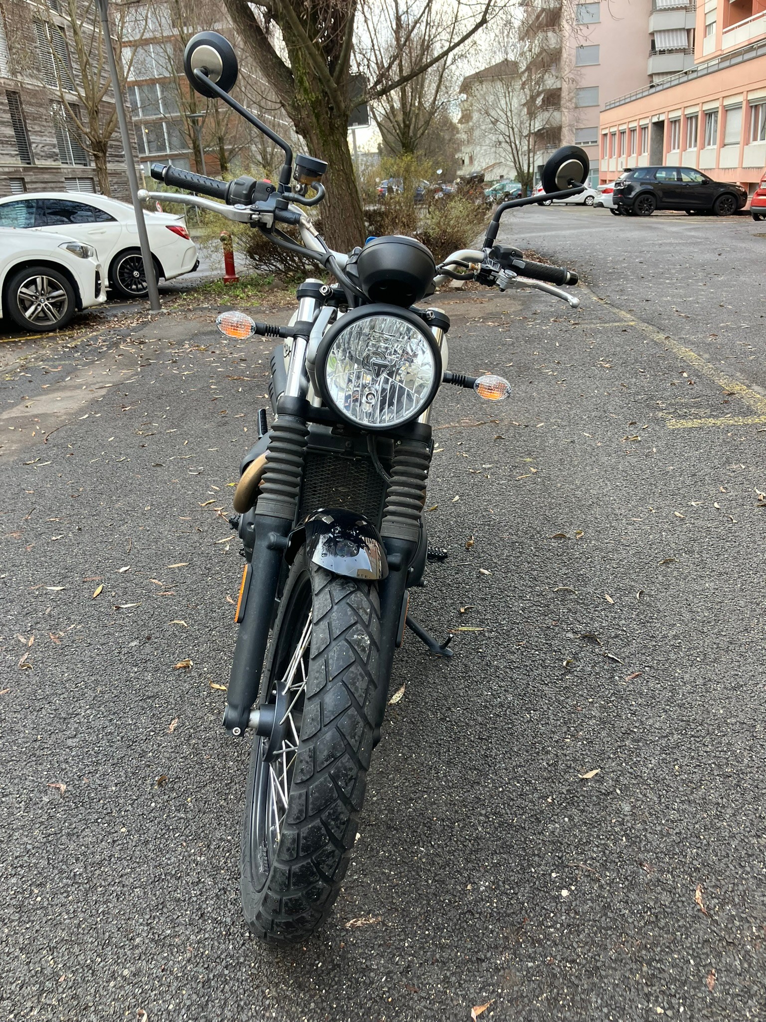 TRIUMPH Street Scrambler 900-image-5