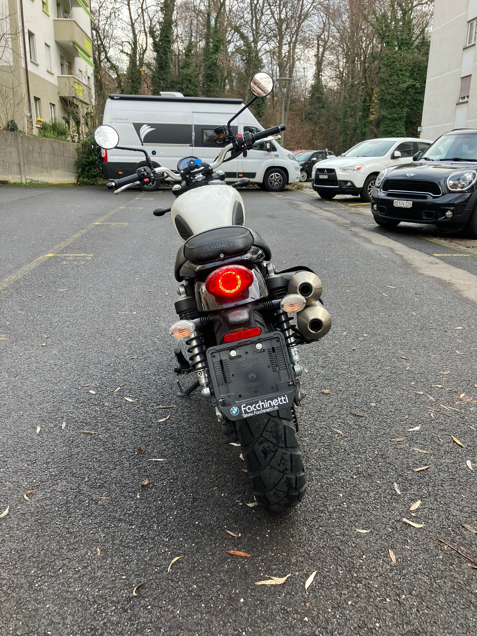 TRIUMPH Street Scrambler 900-image-7