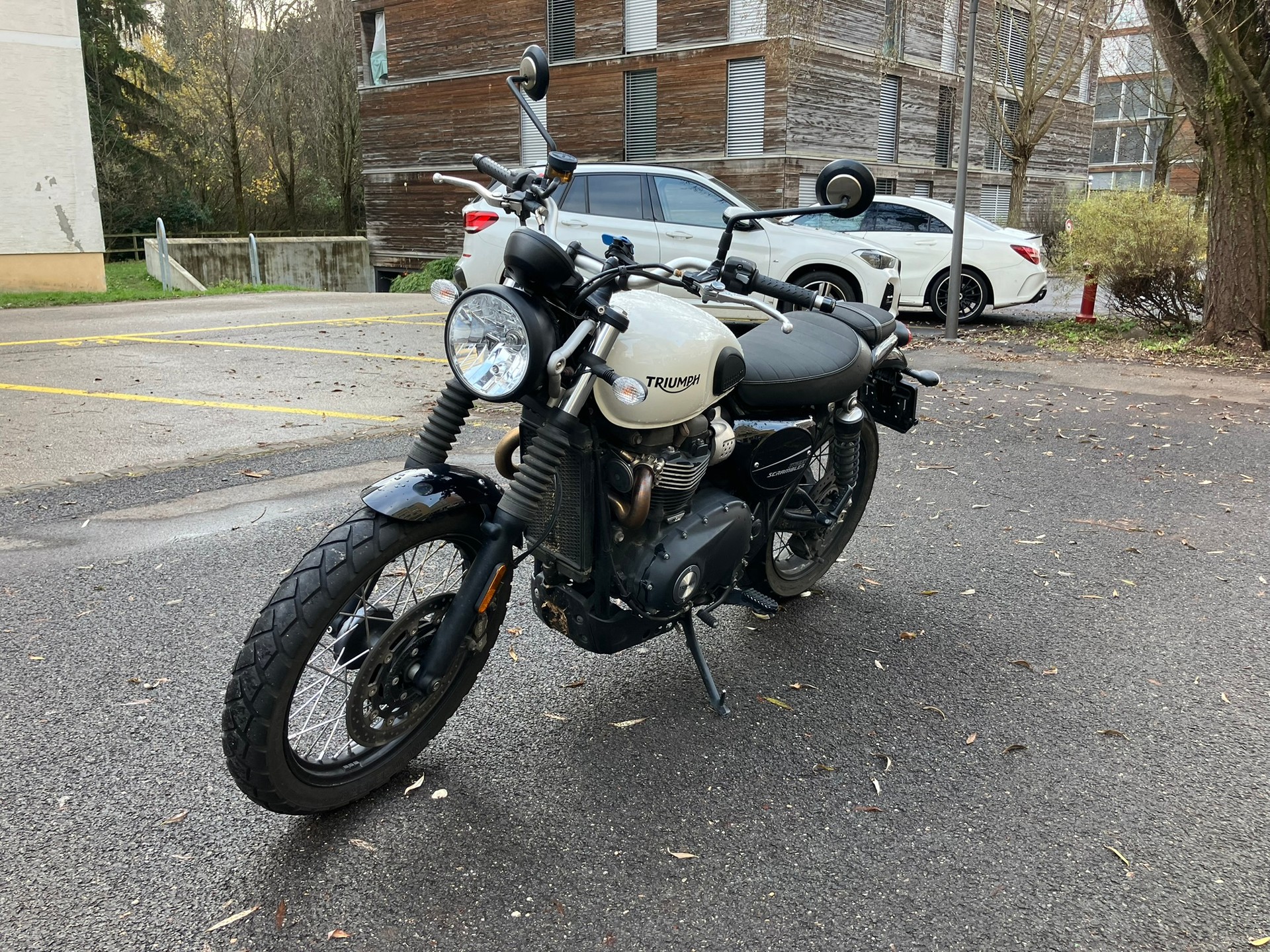 TRIUMPH Street Scrambler 900-image-4