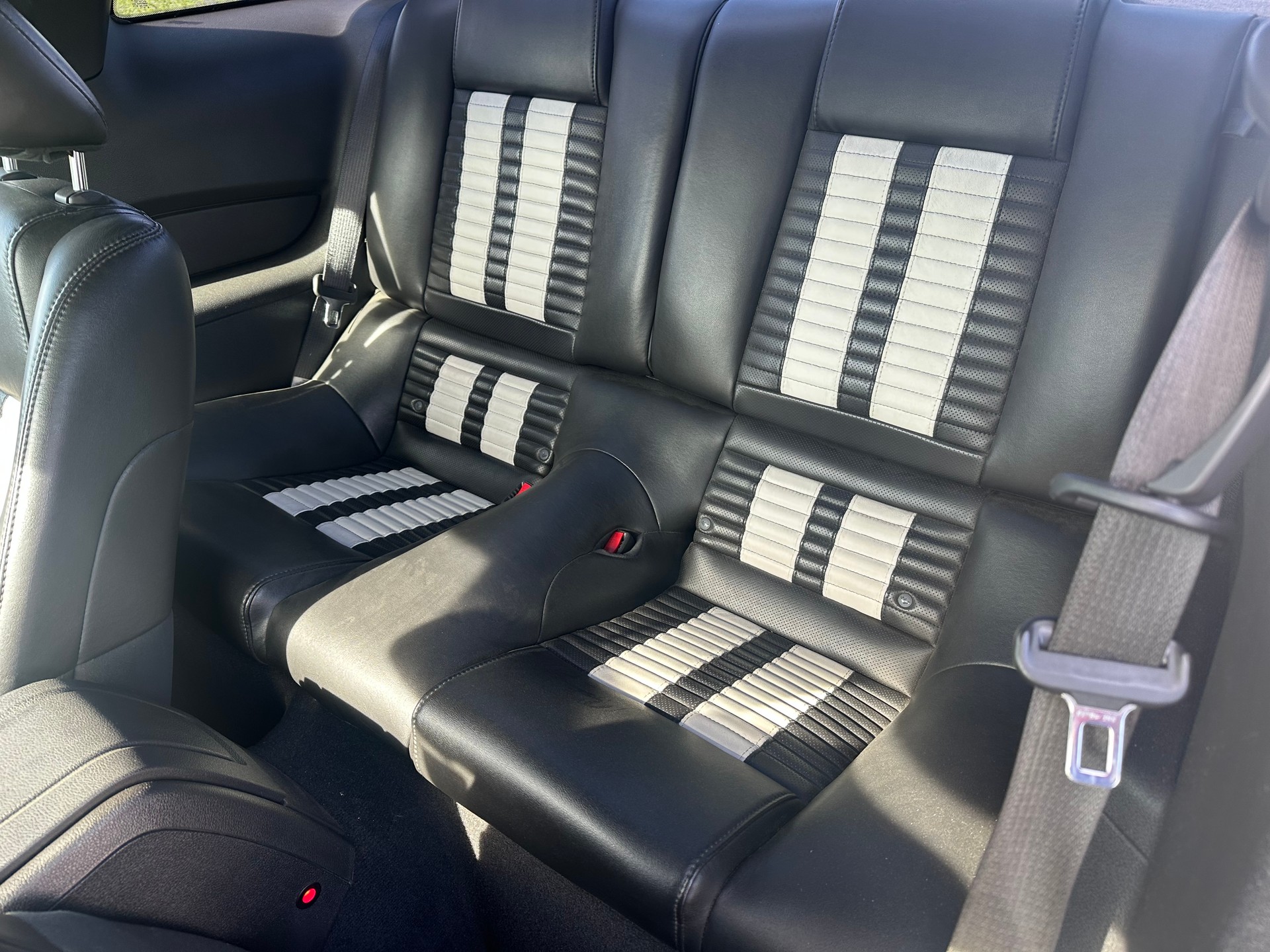 FORD Shelby GT 500-image-14