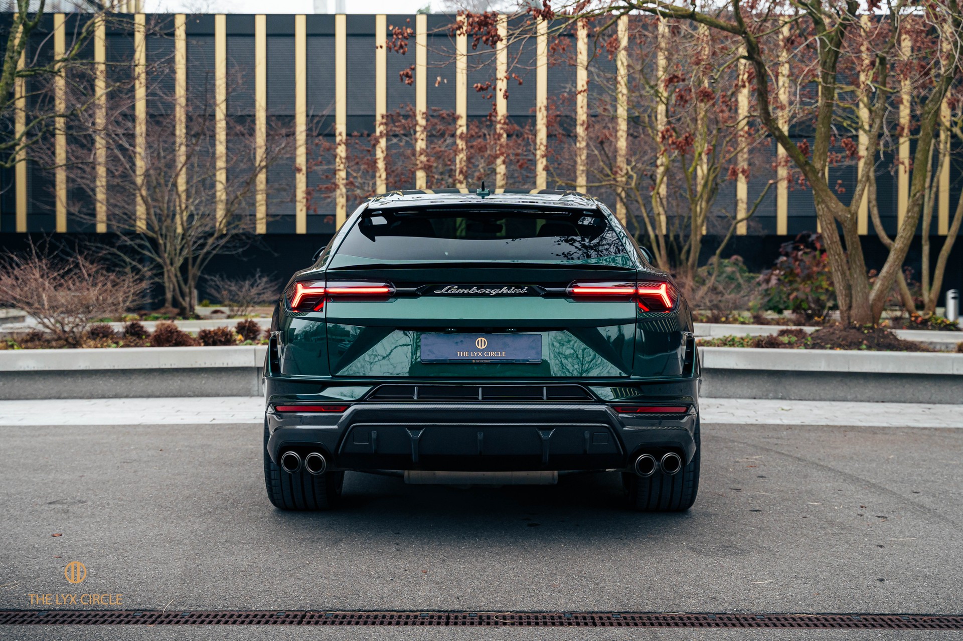 LAMBORGHINI Performante Hydra Verde-image-8