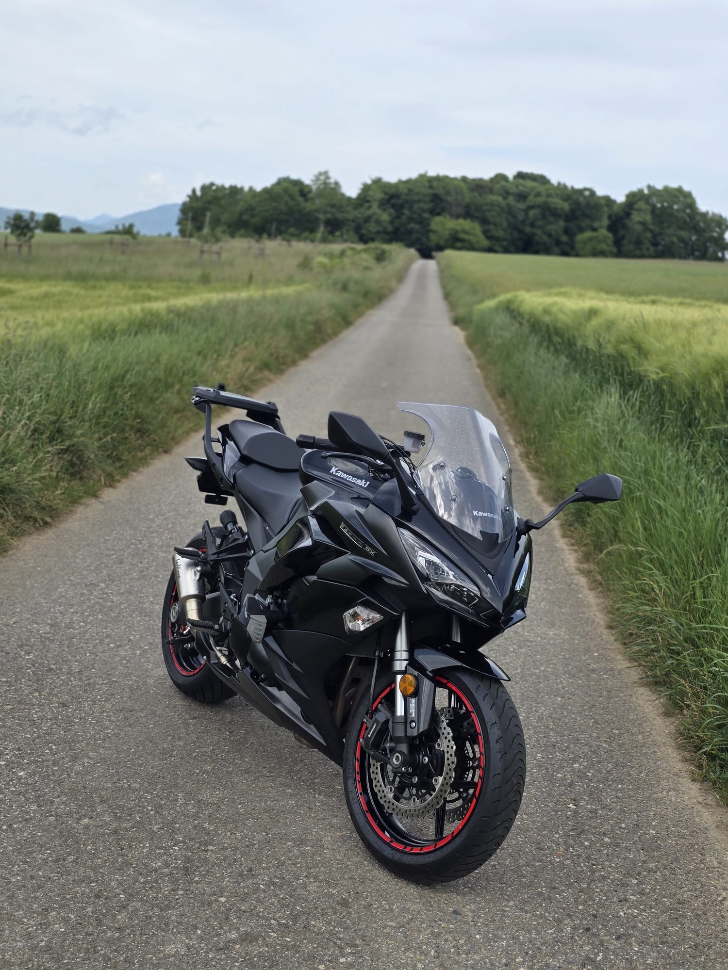 KAWASAKI Z 1000 SX Performance ABS-image-0