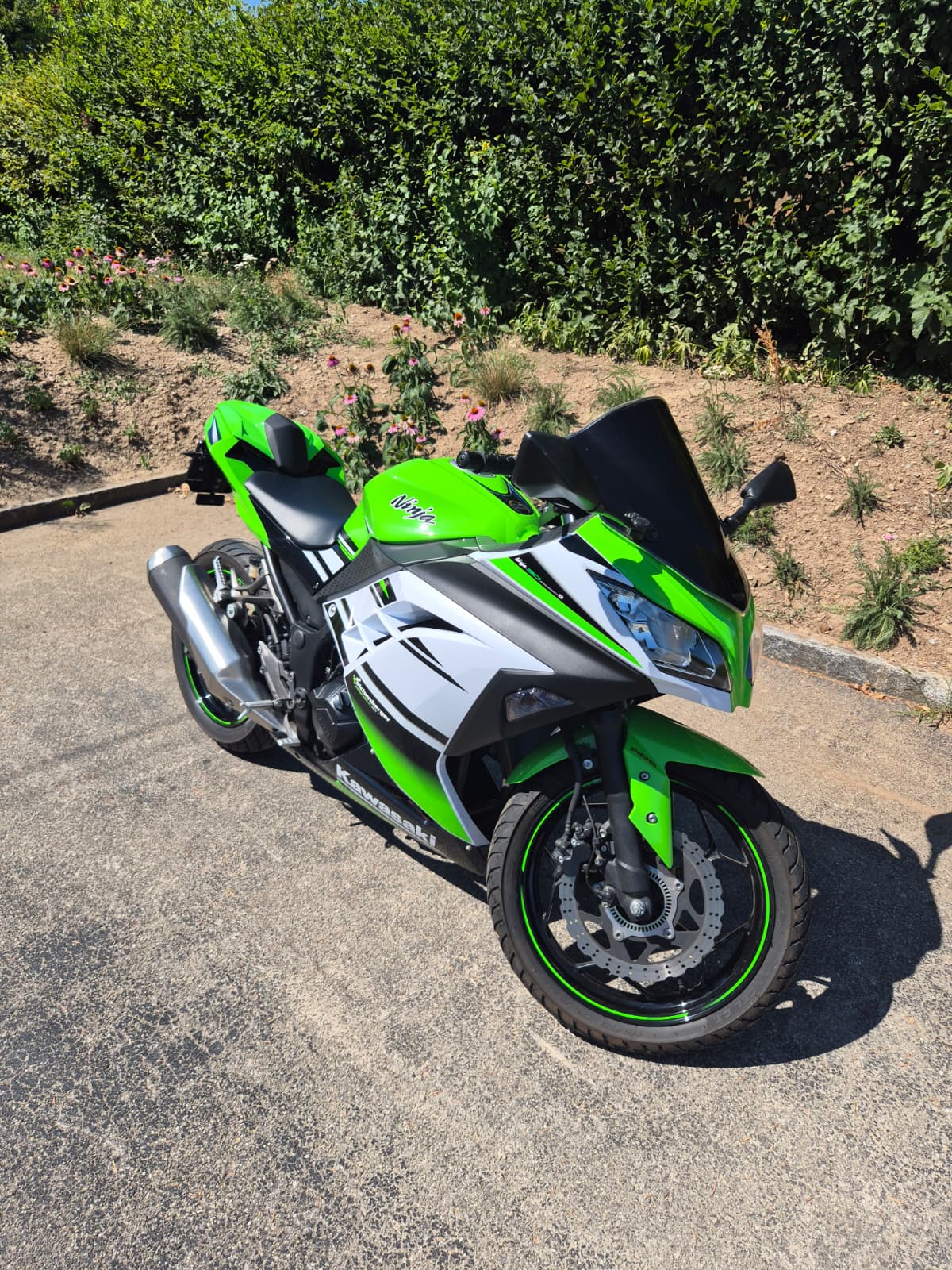 KAWASAKI Ninja 300 SE ABS