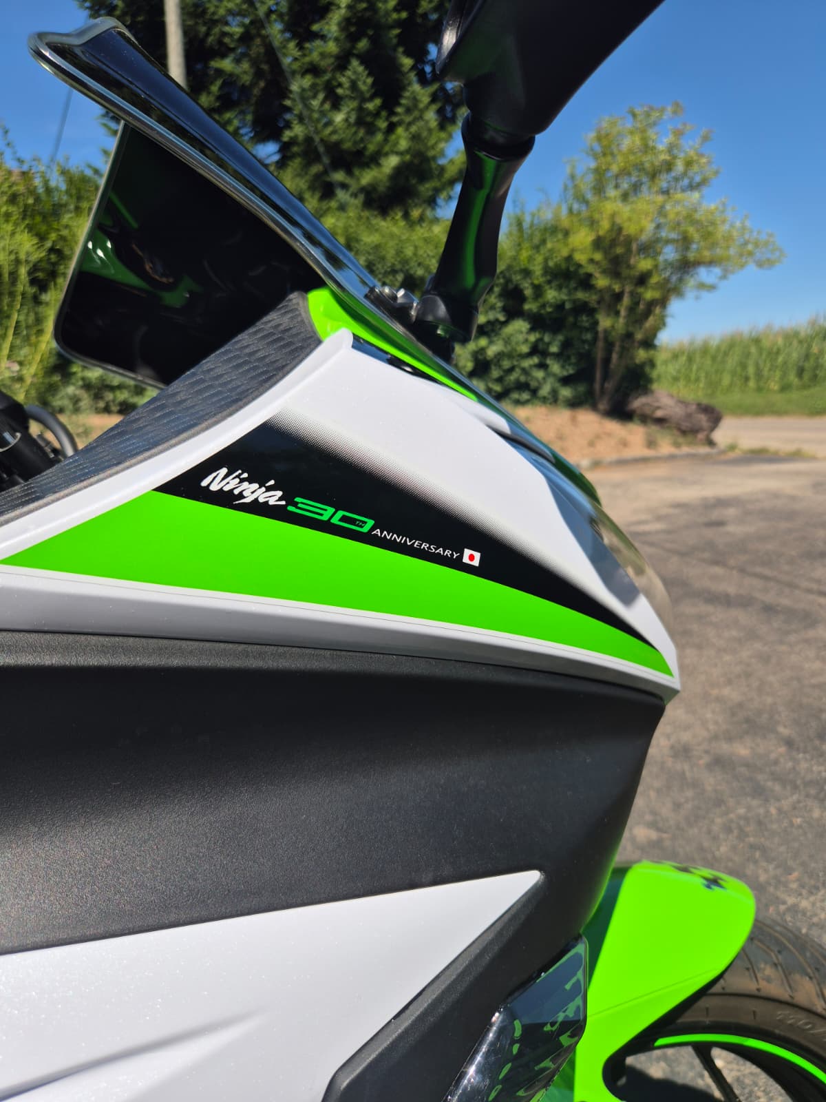 KAWASAKI Ninja 300 SE ABS-image-4
