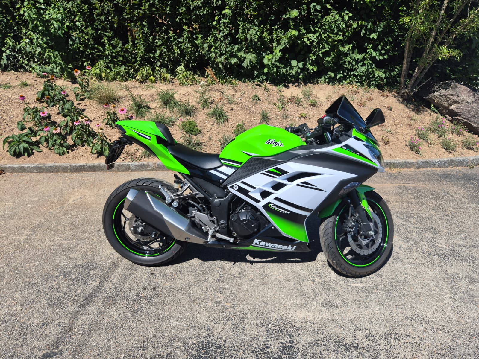 KAWASAKI Ninja 300 SE ABS-image-1