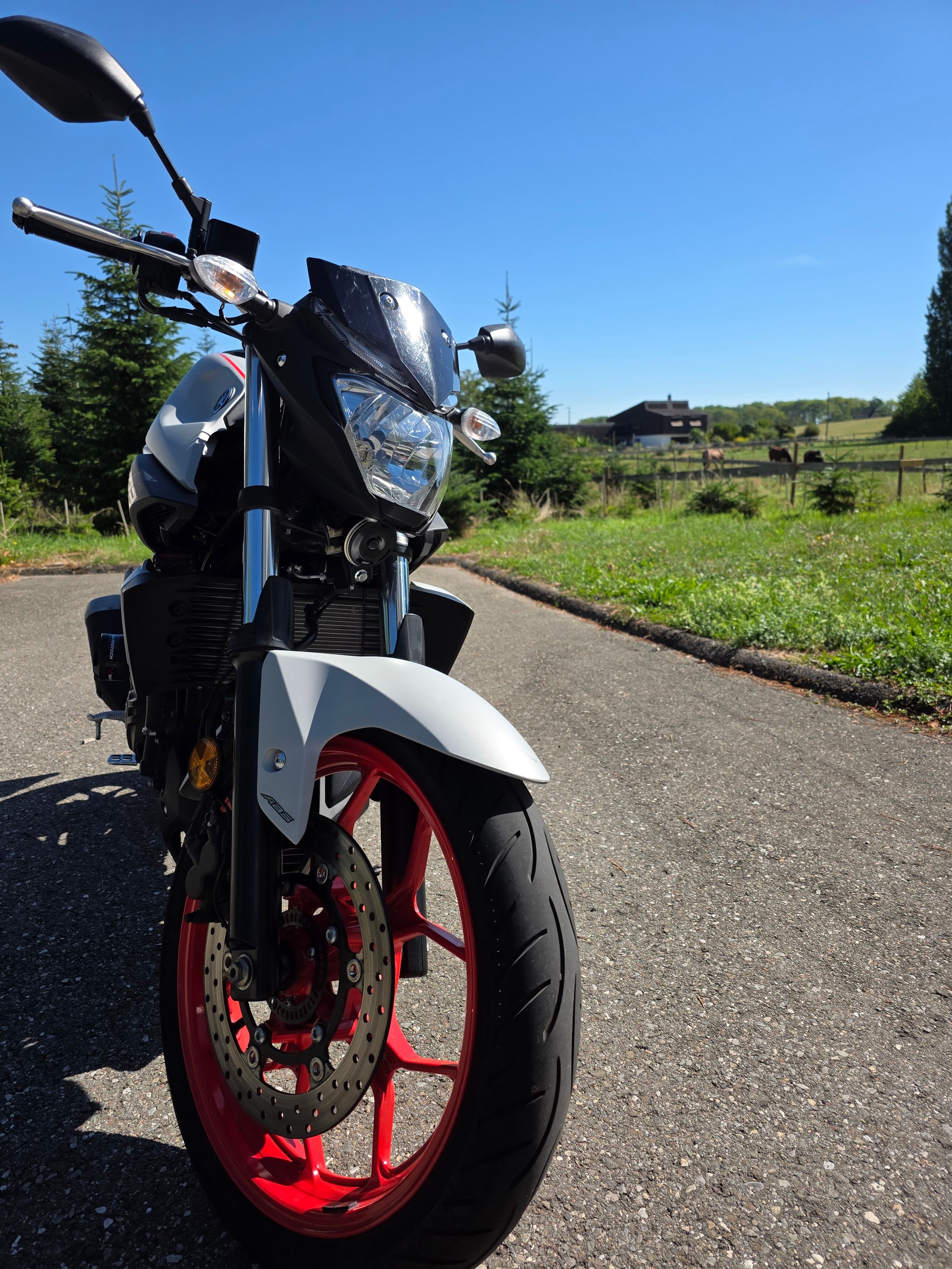 YAMAHA MT-03 ABS-image-3