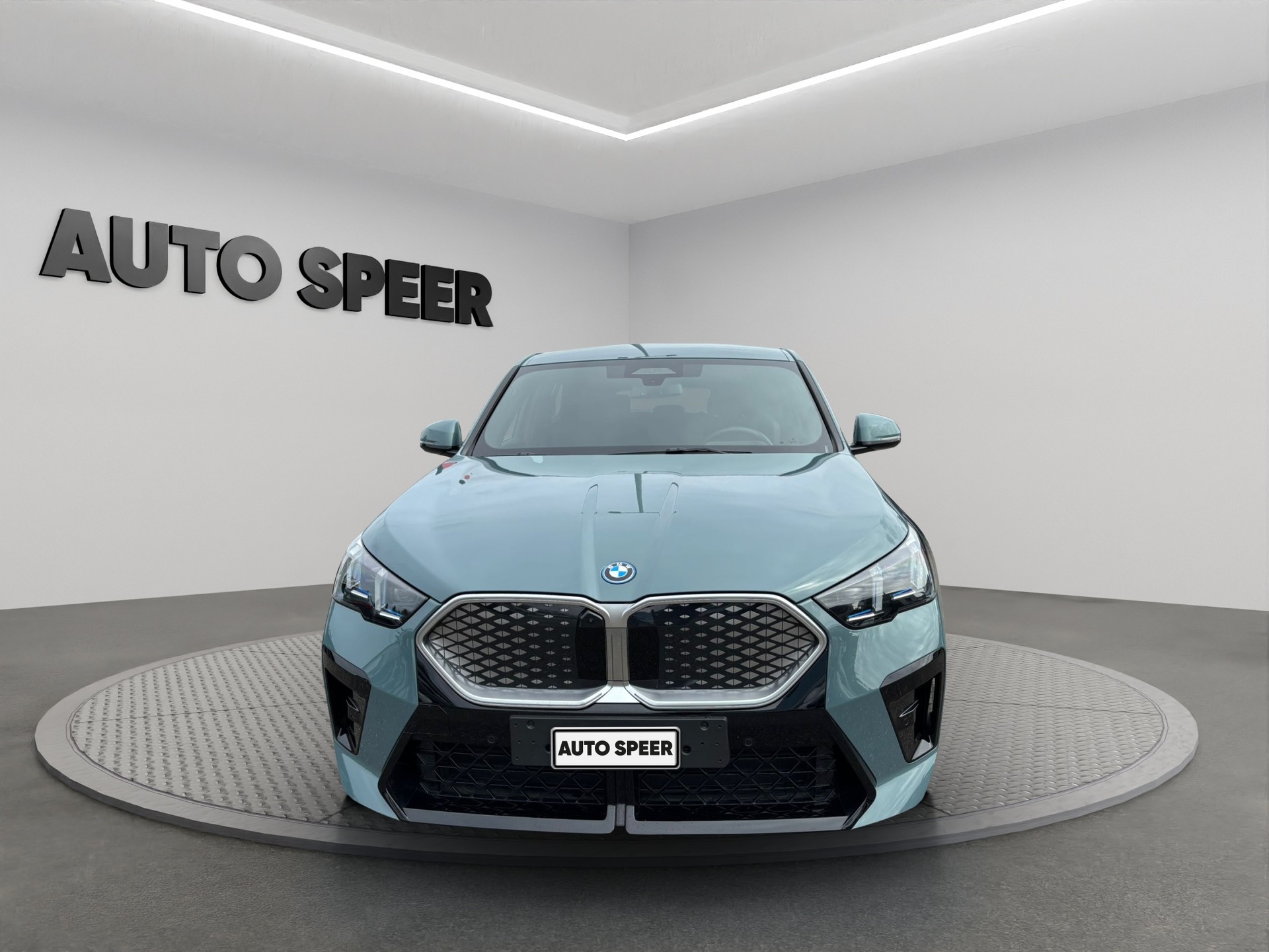 BMW BMW iX2 xDrive30 M Sport | Elektro | Panorama | Driving Assist Pro | CH-showroom-element-3