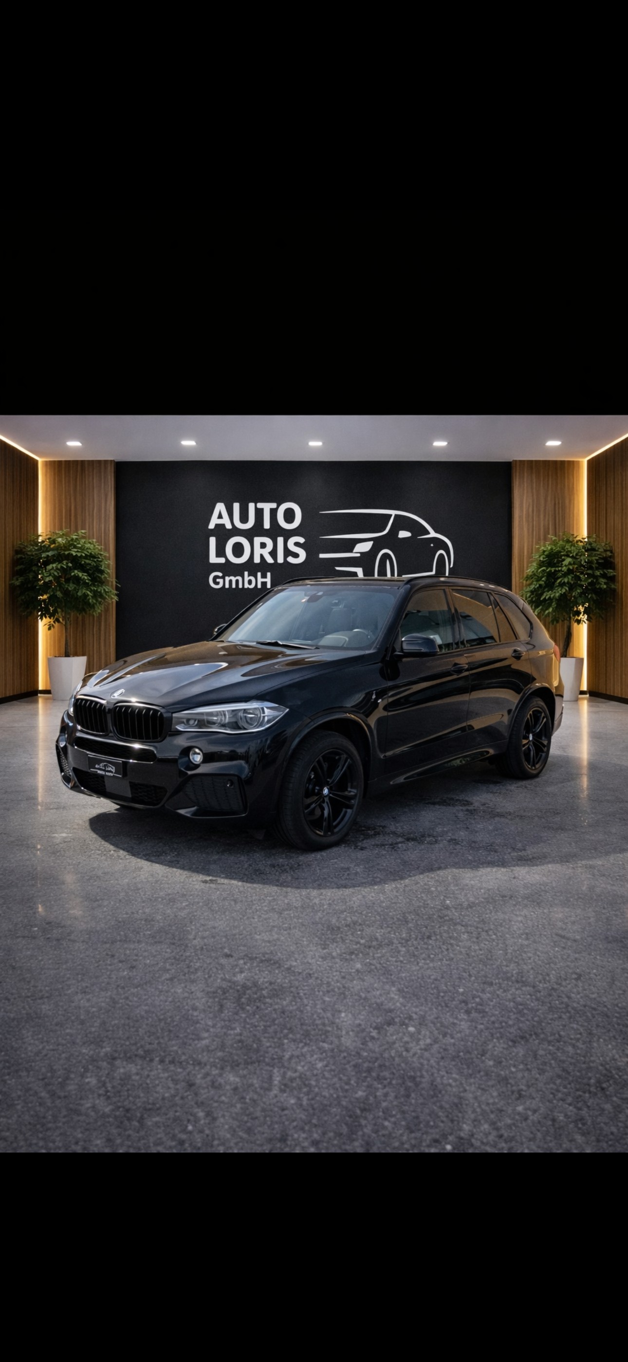 BMW X5 xDrive 30d Steptronic-image-2