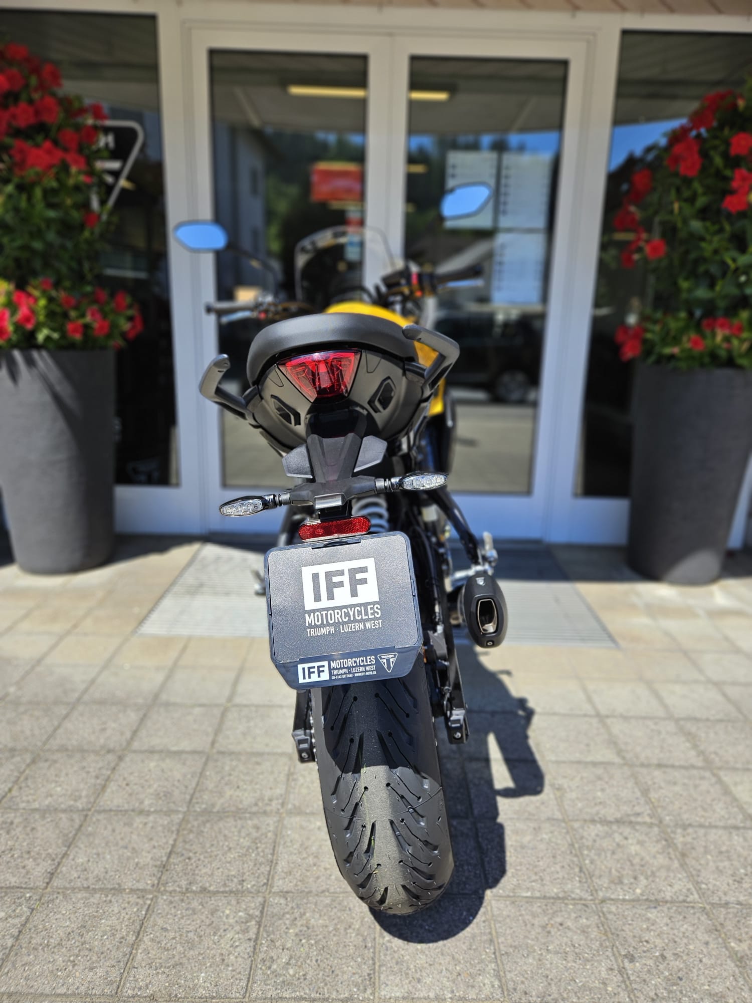 TRIUMPH Tiger Sport 800-image-5