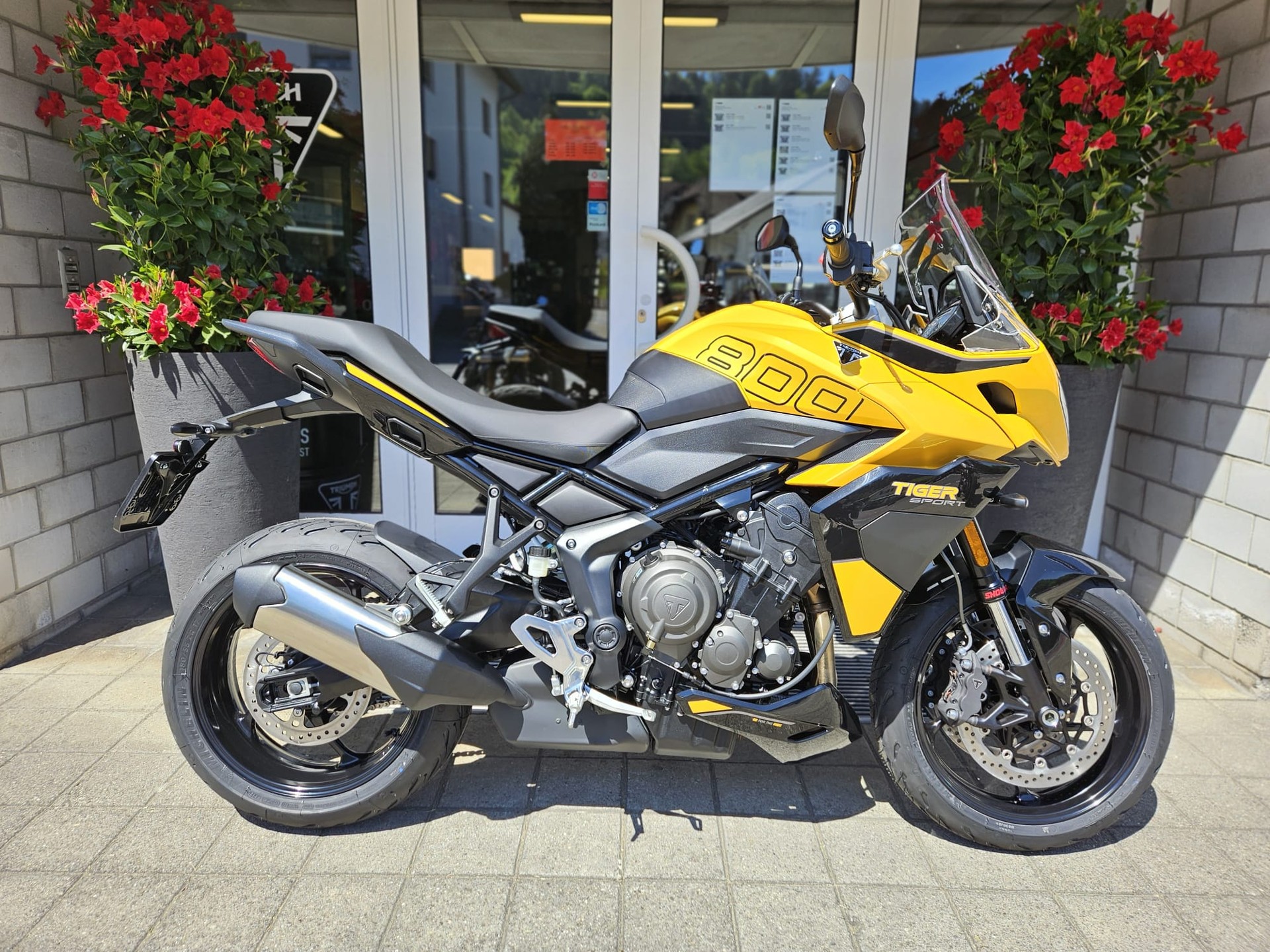 TRIUMPH Tiger Sport 800-image-1