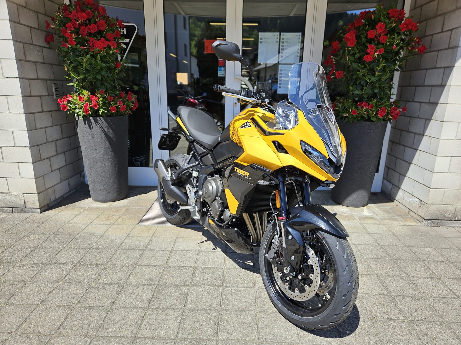 TRIUMPH Tiger Sport 800-image-2