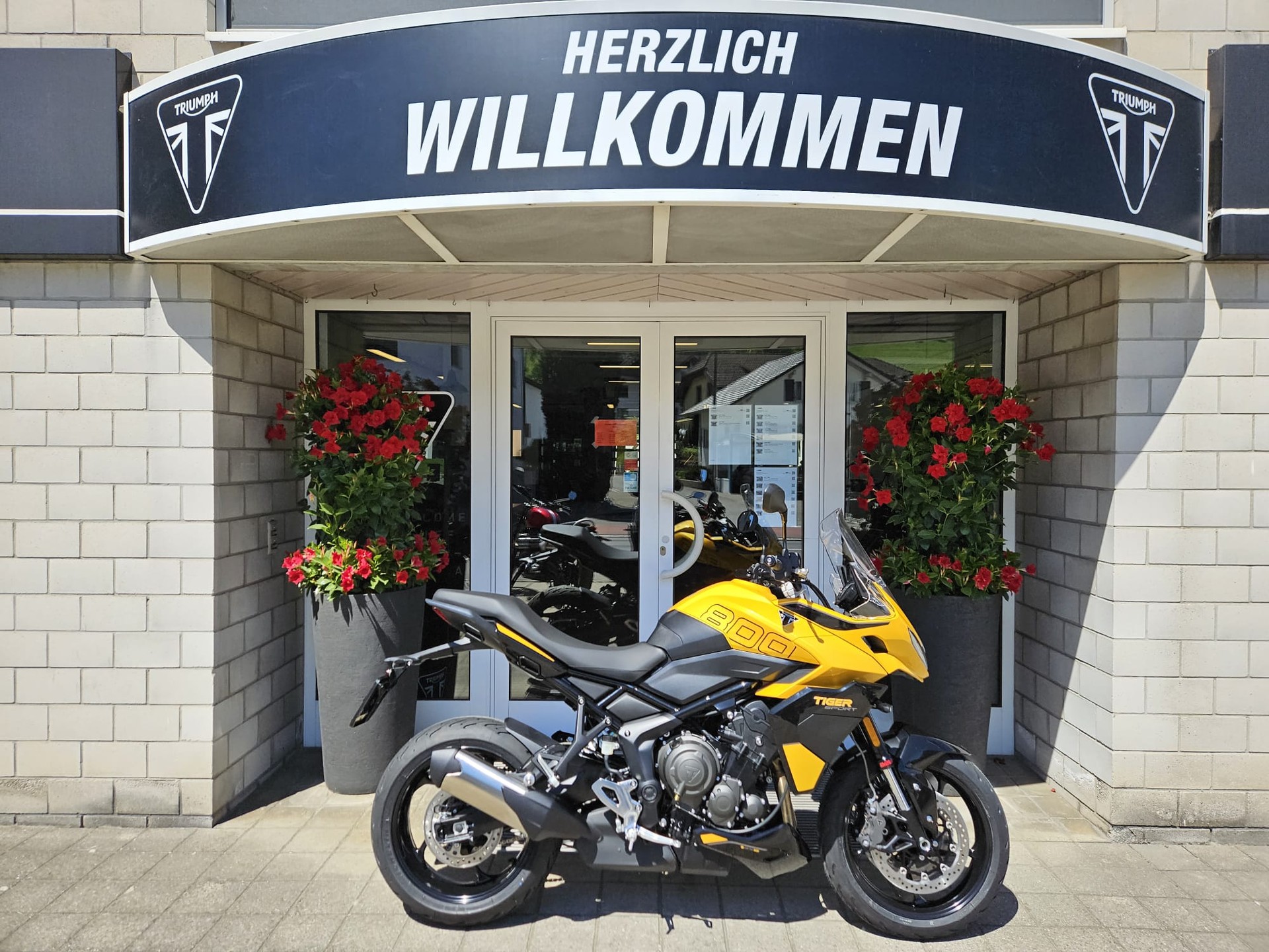 TRIUMPH Tiger Sport 800-image-0