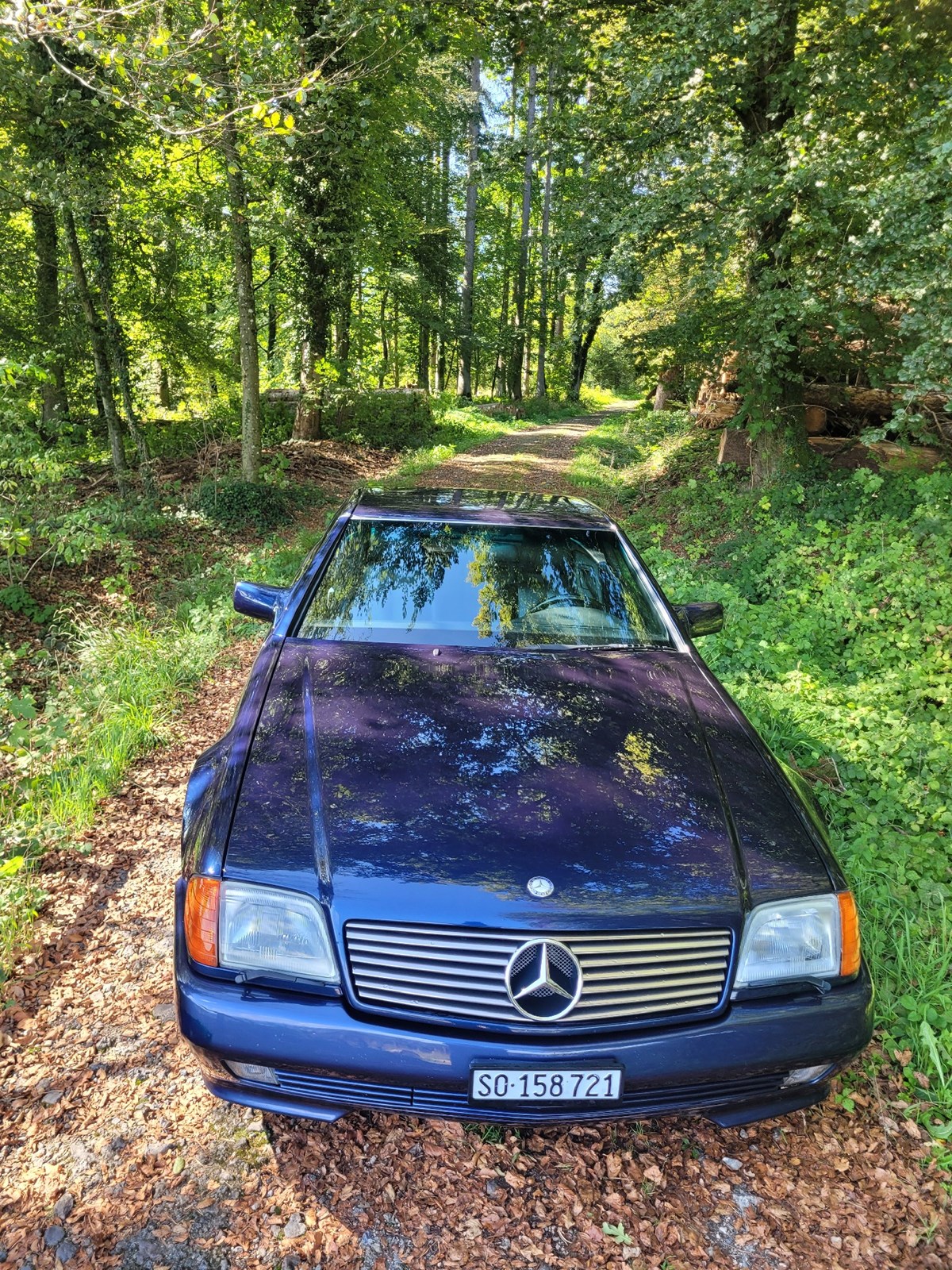 MERCEDES-BENZ SL 600 Automatic-image-14