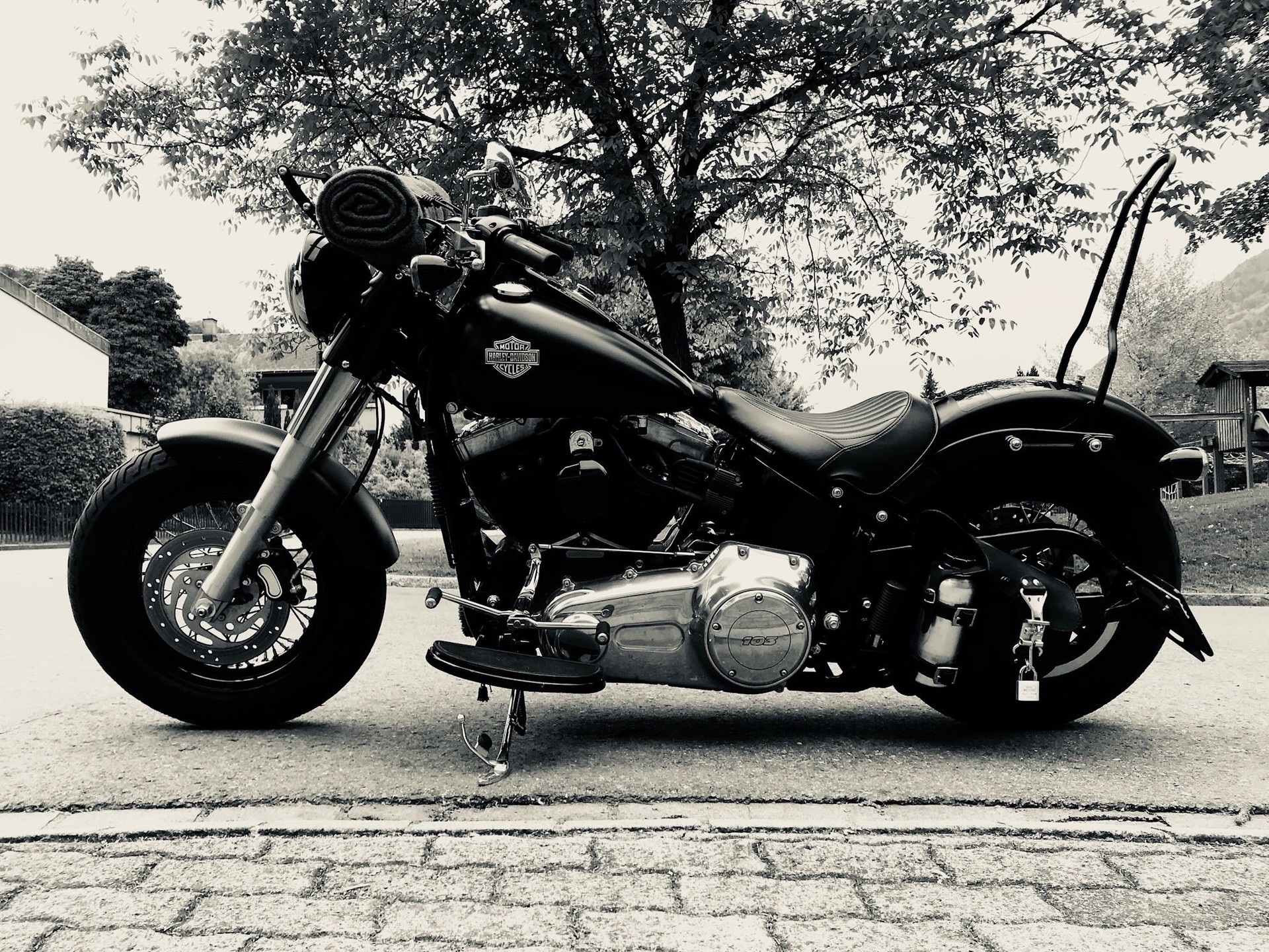 HARLEY-DAVIDSON FLS Softail Slim ABS-image-3