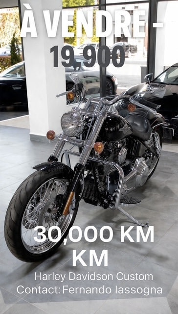 HARLEY-DAVIDSON FXDI35 Dyna Super Glide 35th Anniversary-image-0