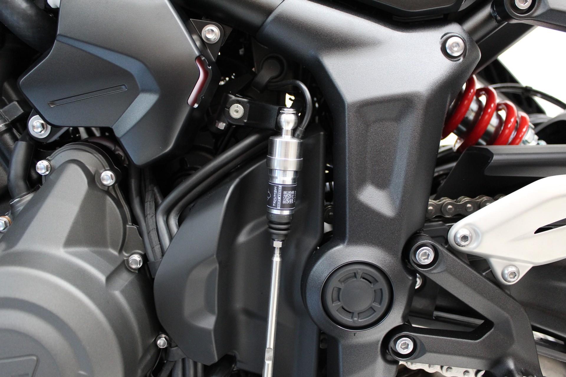 TRIUMPH Trident 660-image-5