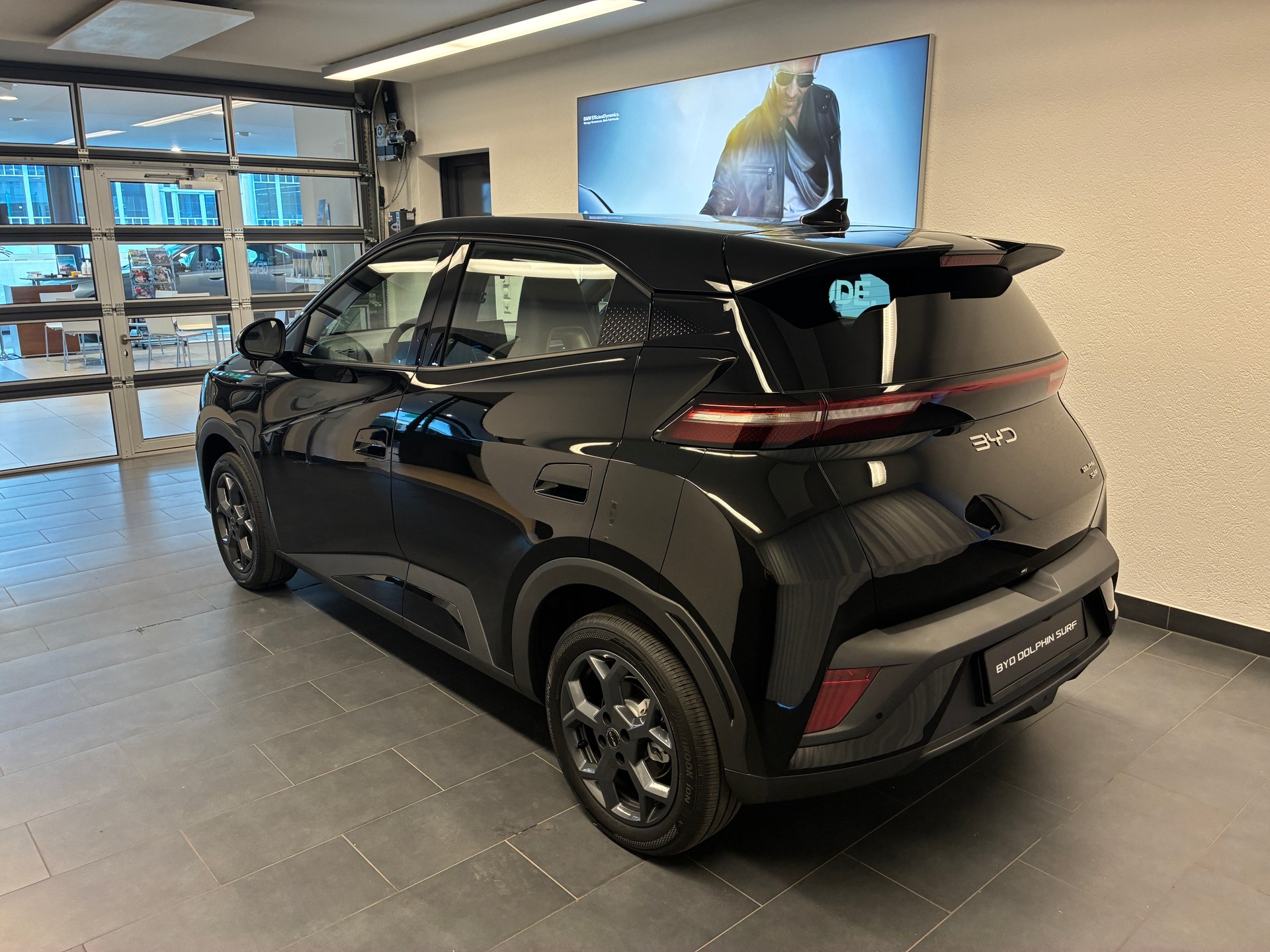 BYD Dolphin Surf Boost-showroom-element-3