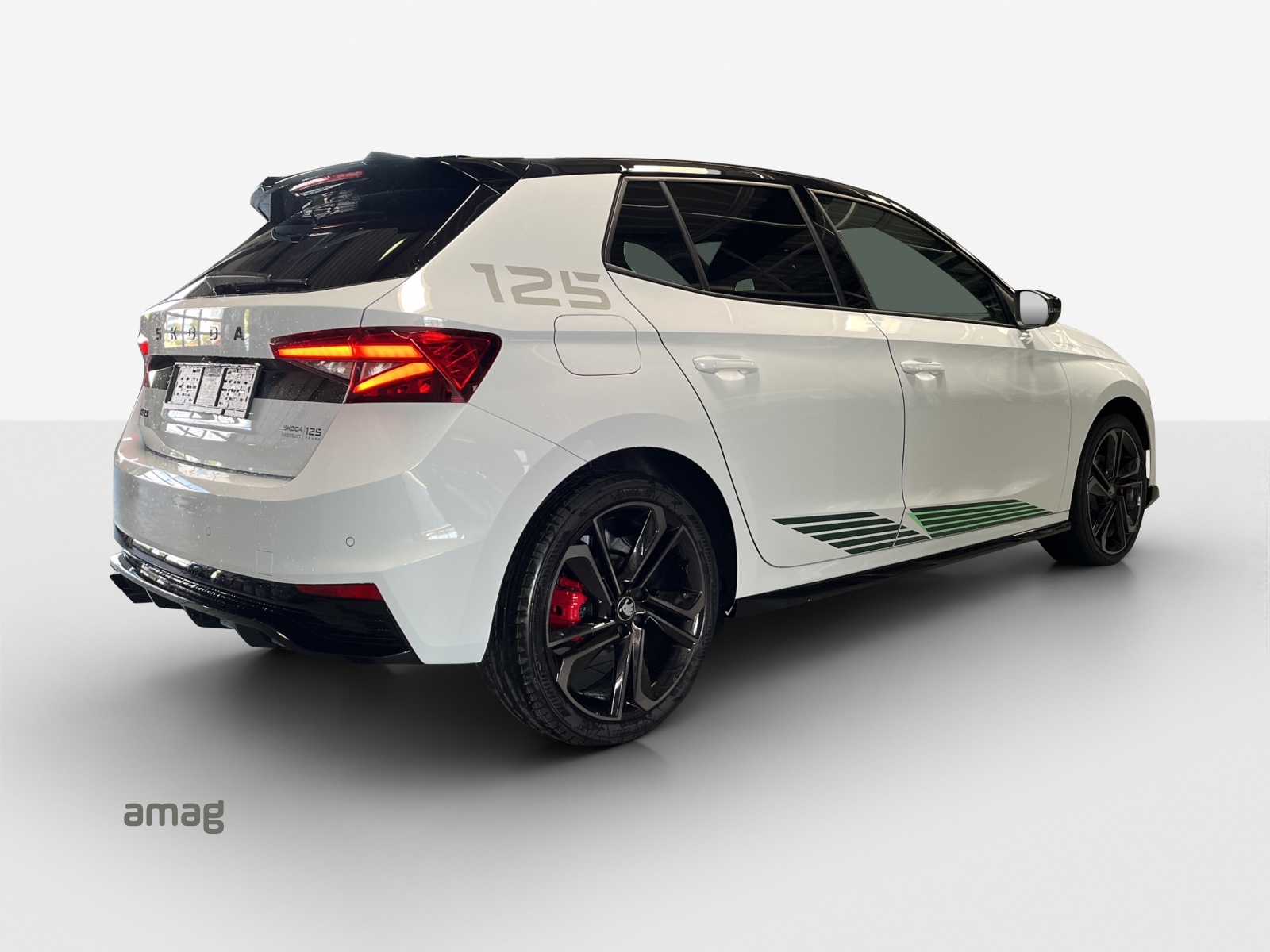 SKODA ***LIMITIERTE MOTORSPORT EDITION NR. 110 / 125 WELTWEIT***-image-4