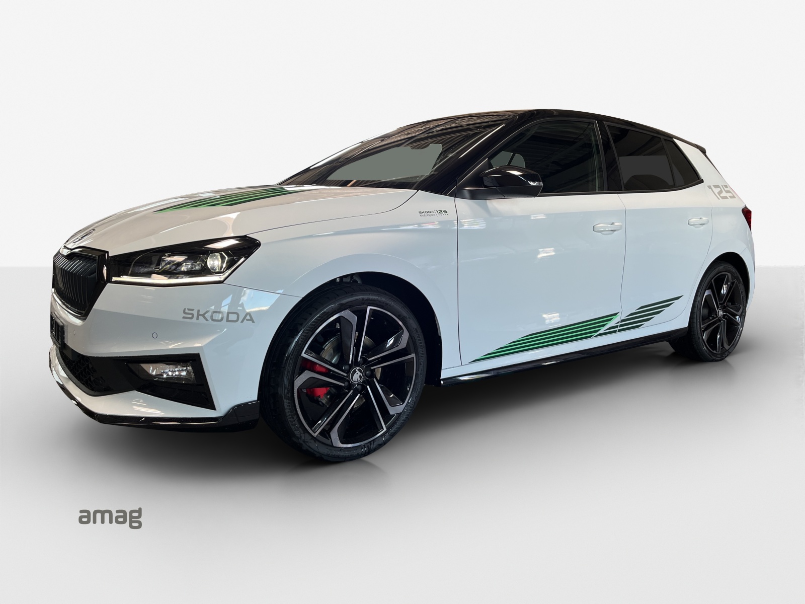 SKODA ***LIMITIERTE MOTORSPORT EDITION NR. 110 / 125 WELTWEIT***