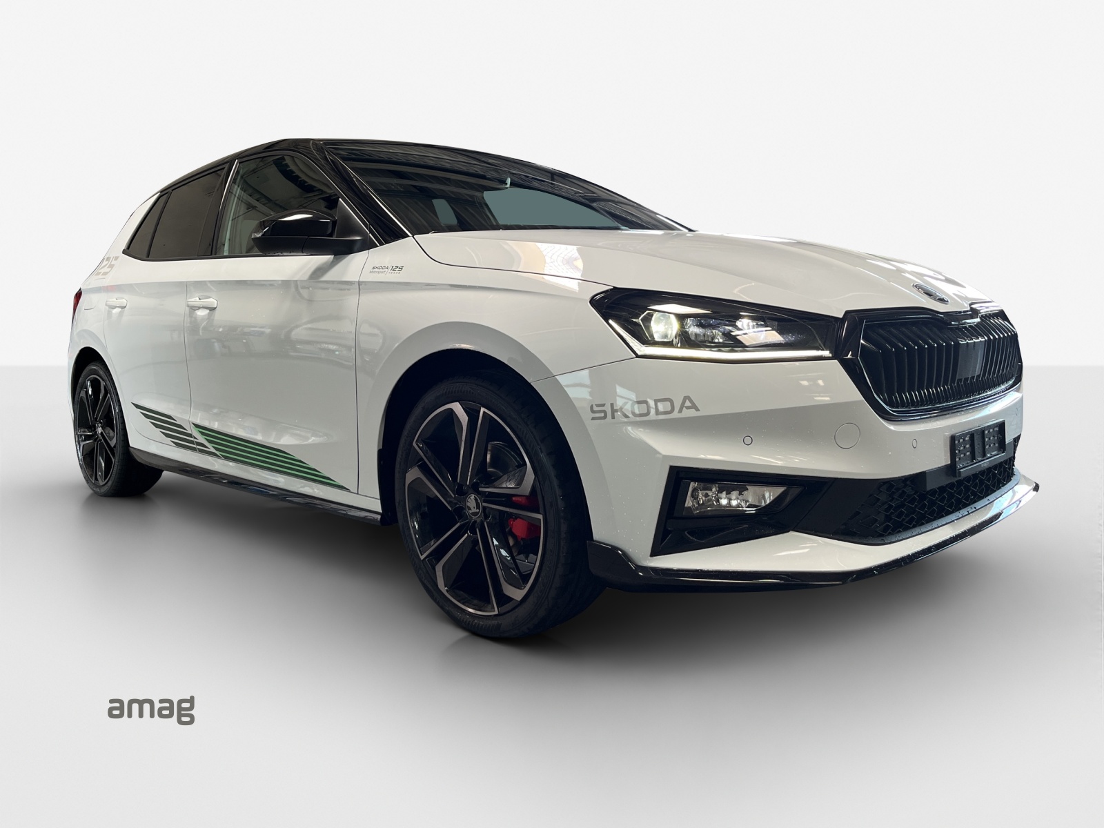 SKODA ***LIMITIERTE MOTORSPORT EDITION NR. 110 / 125 WELTWEIT***-image-5