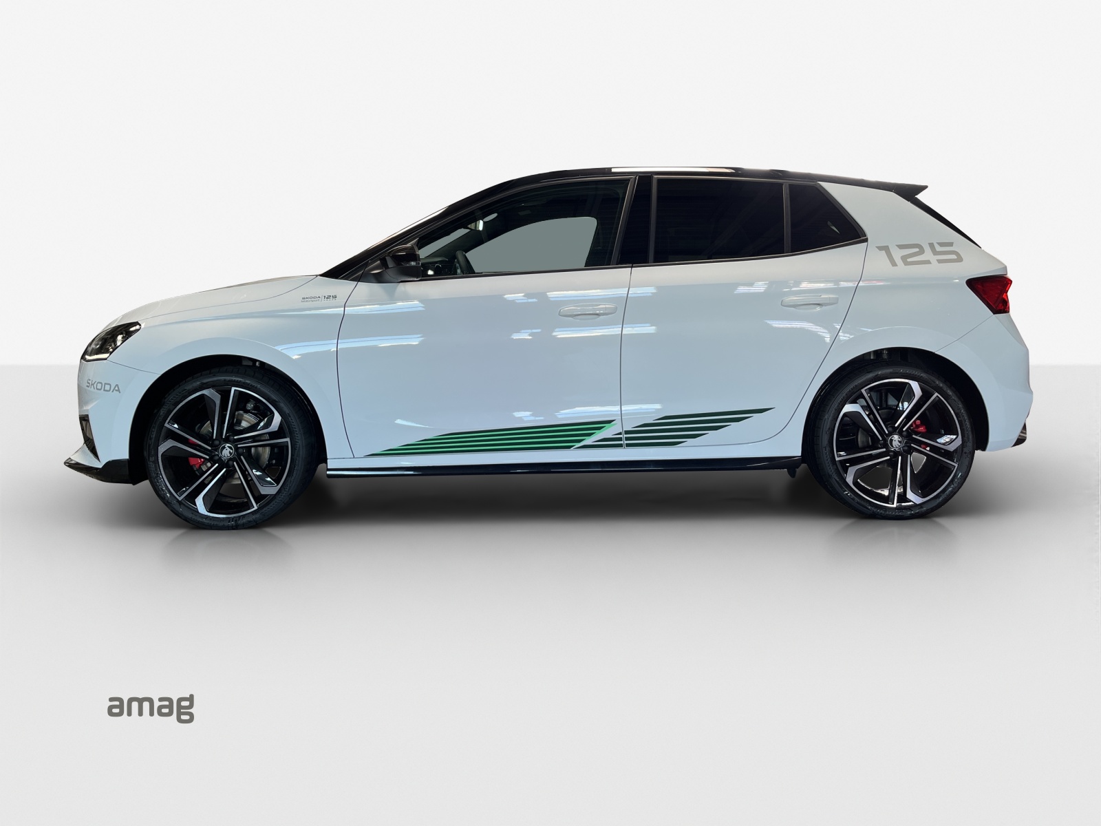 SKODA ***LIMITIERTE MOTORSPORT EDITION NR. 110 / 125 WELTWEIT***-showroom-element-1