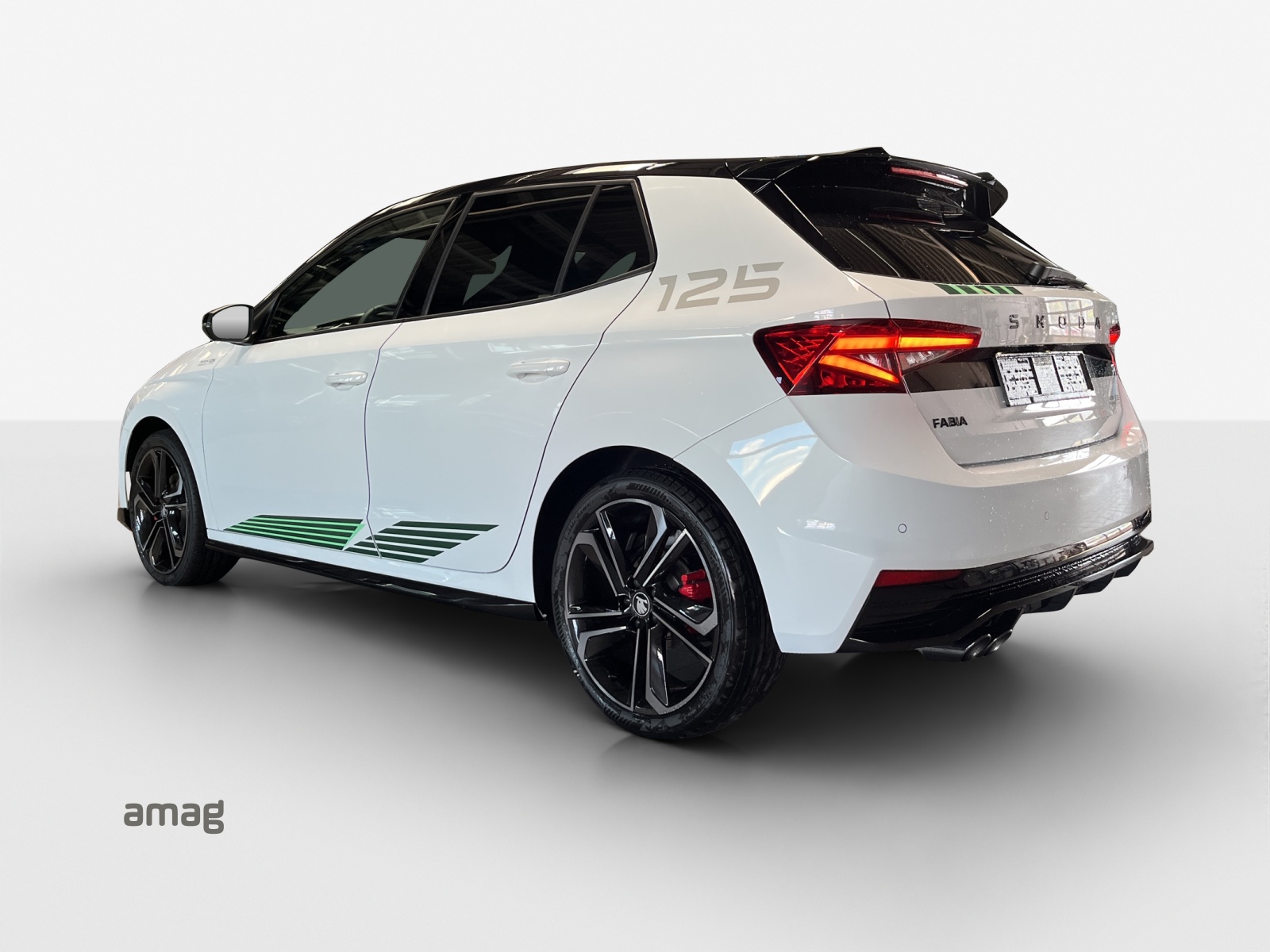 SKODA ***LIMITIERTE MOTORSPORT EDITION NR. 110 / 125 WELTWEIT***-showroom-element-2