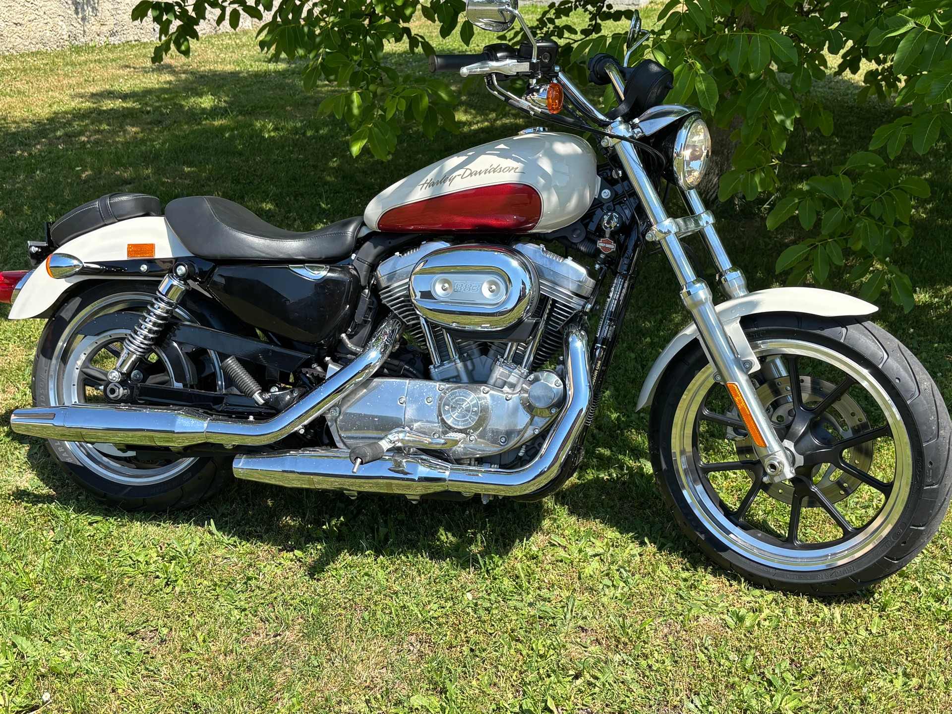 HARLEY-DAVIDSON XL 883 L Sportster Super Low-image-2