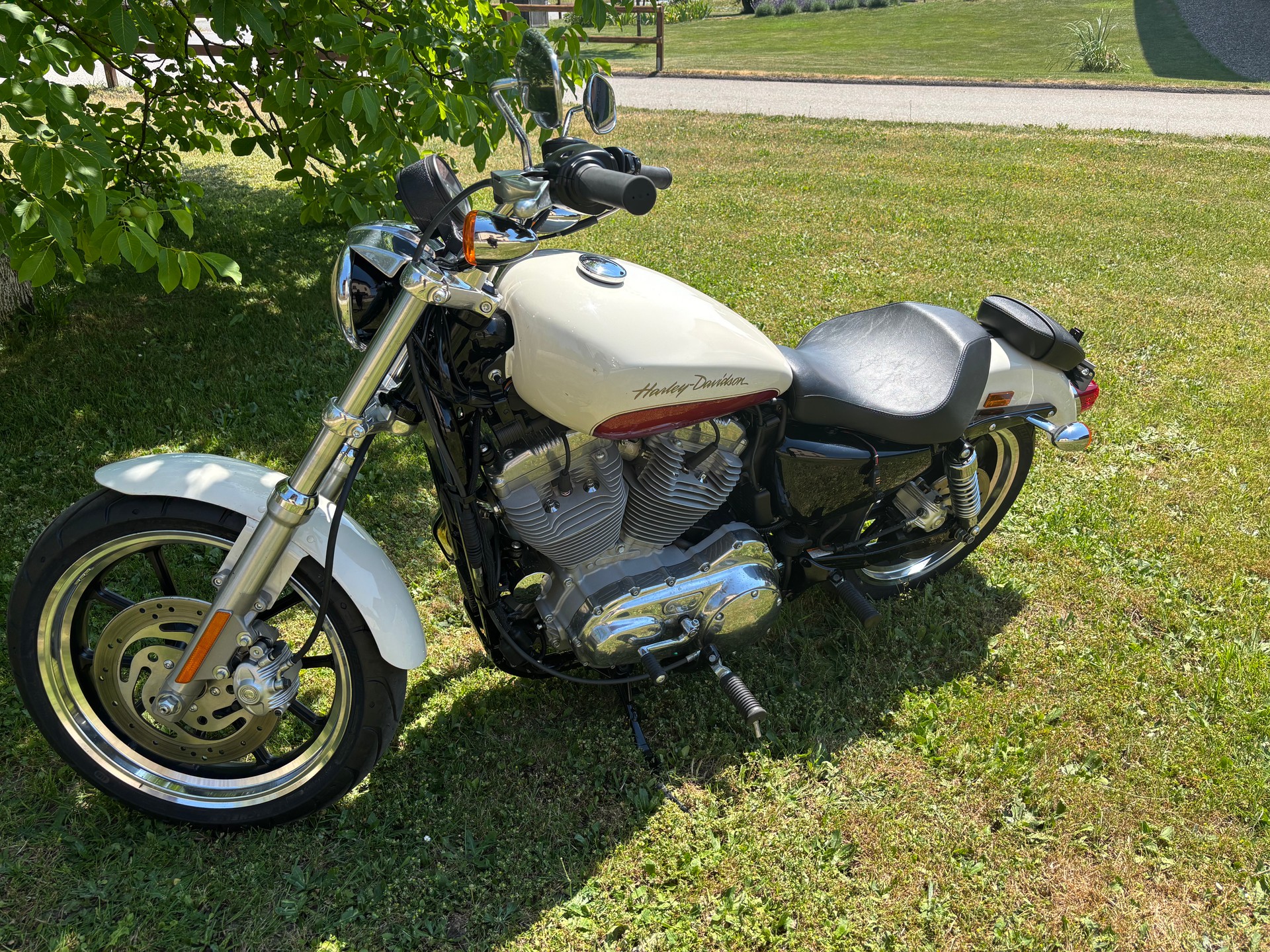 HARLEY-DAVIDSON XL 883 L Sportster Super Low-image-3