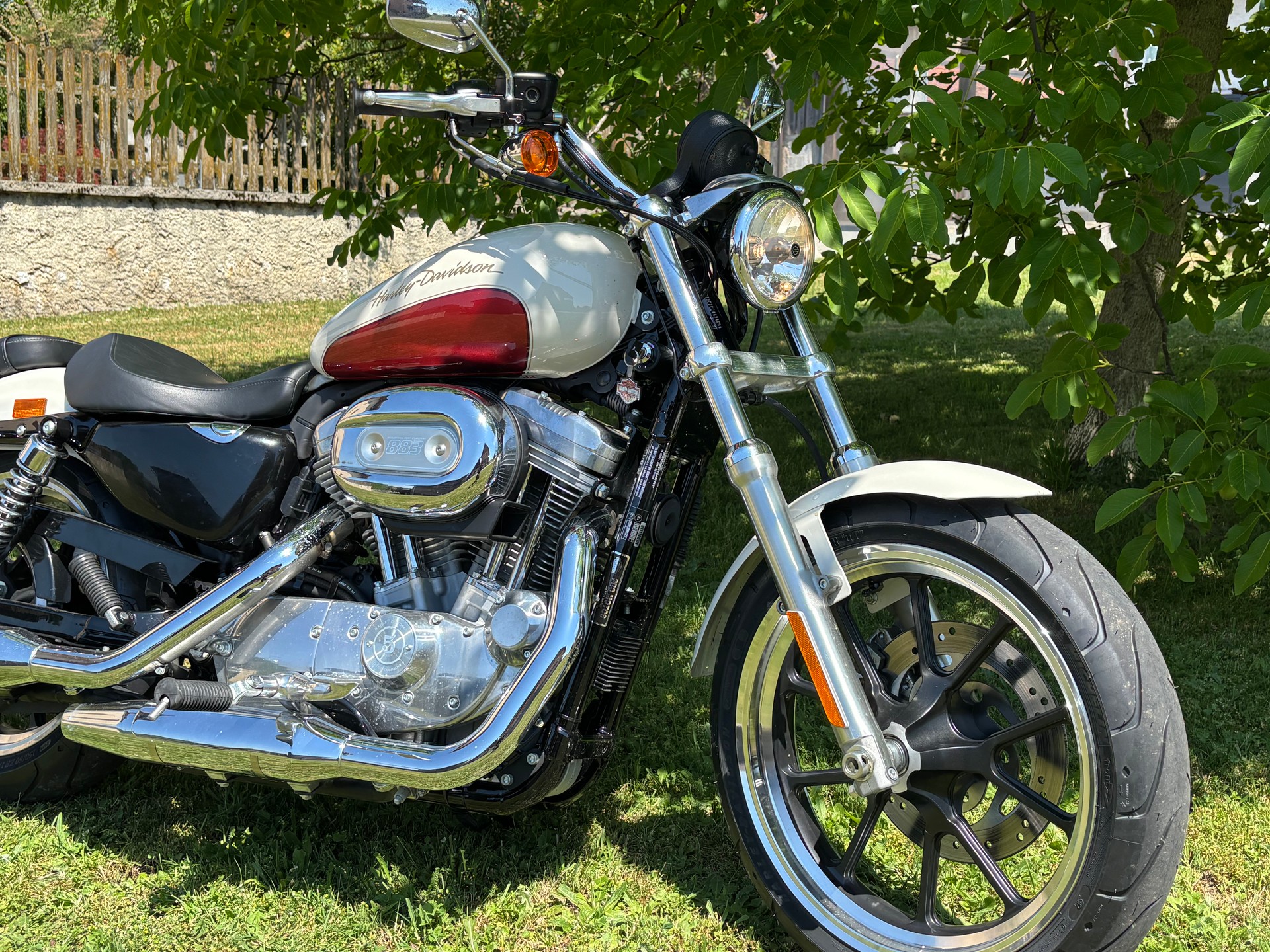 HARLEY-DAVIDSON XL 883 L Sportster Super Low-image-1